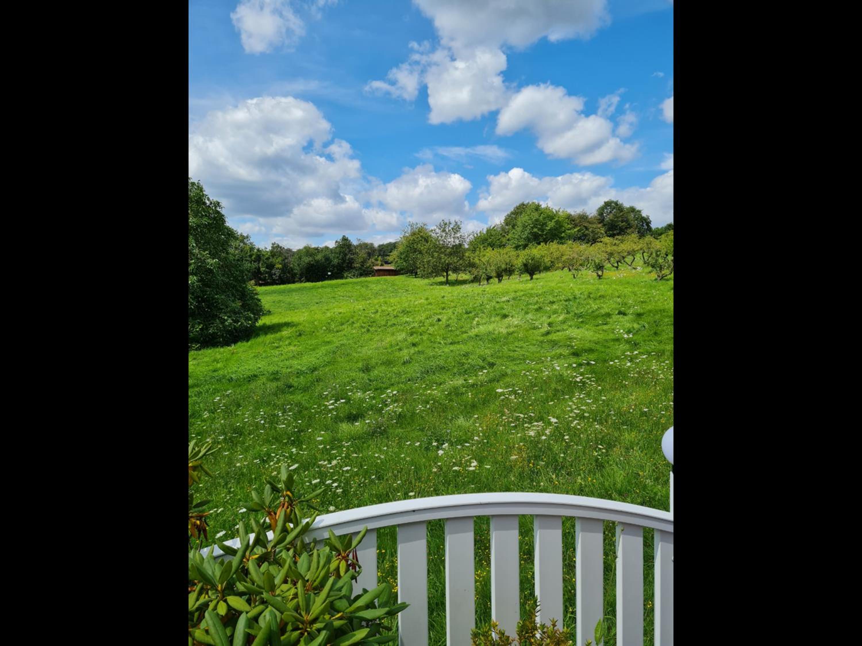 NEU Ferienwohnung Odenwald