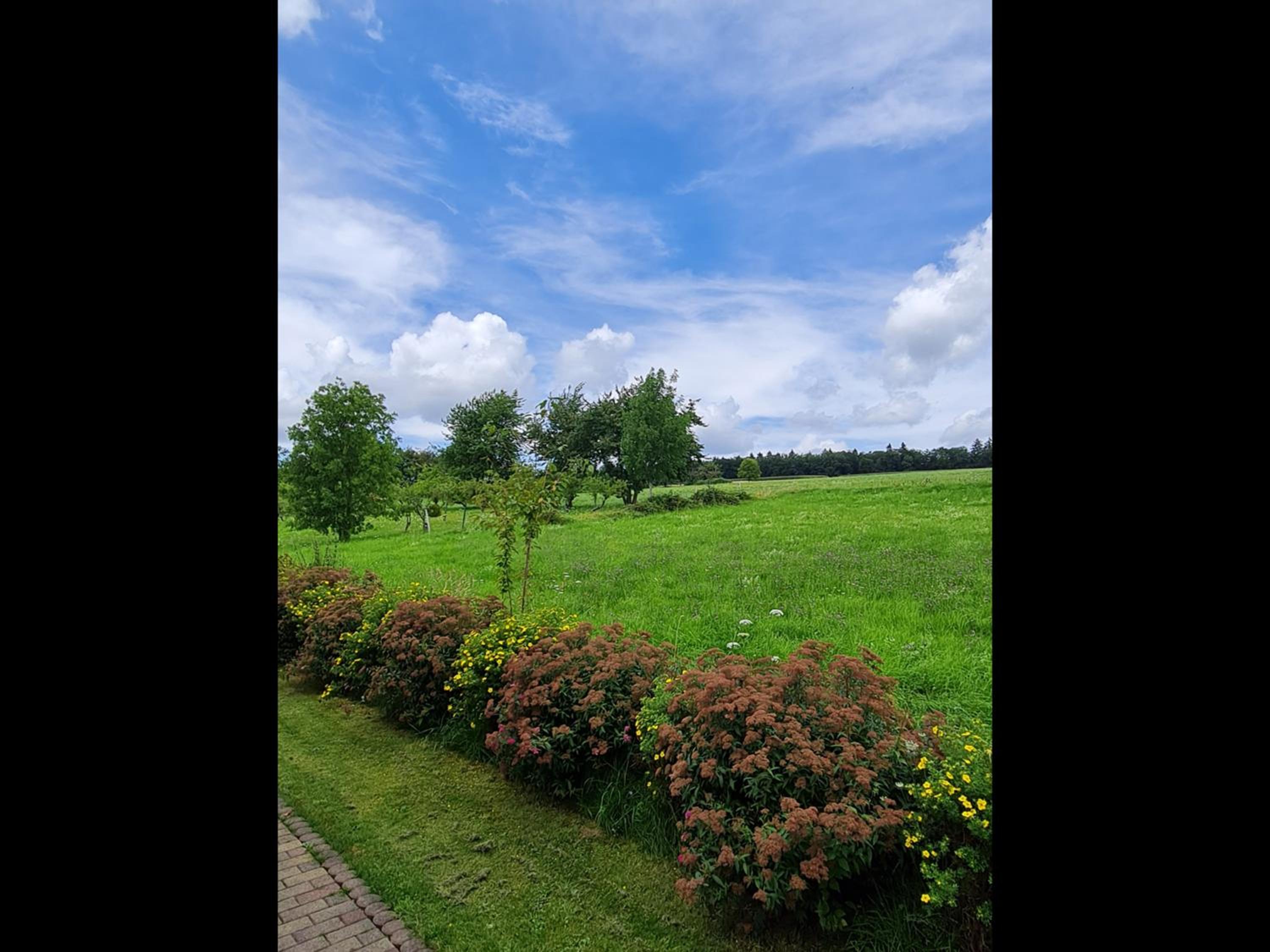 NEU Ferienwohnung Odenwald