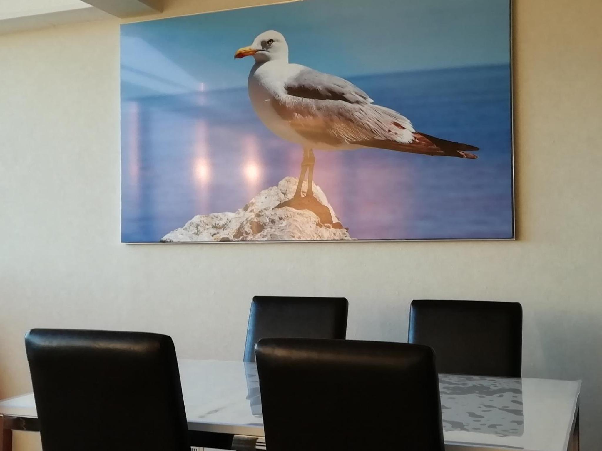 NEU! Ferienwohnung Möwe Schönberg