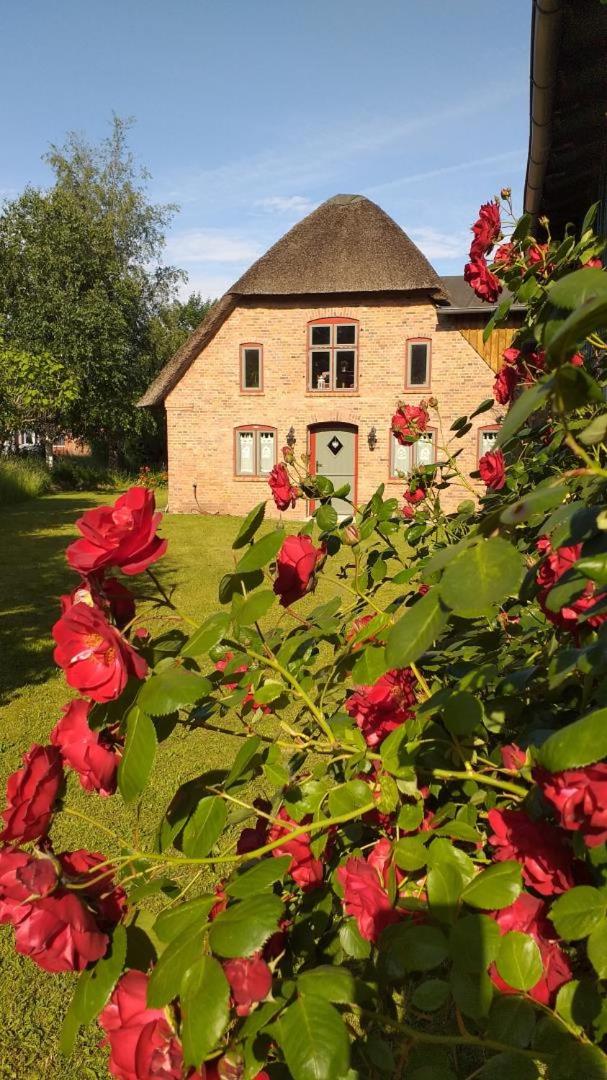 NEU Feriendomizil Nordfriesland Pur