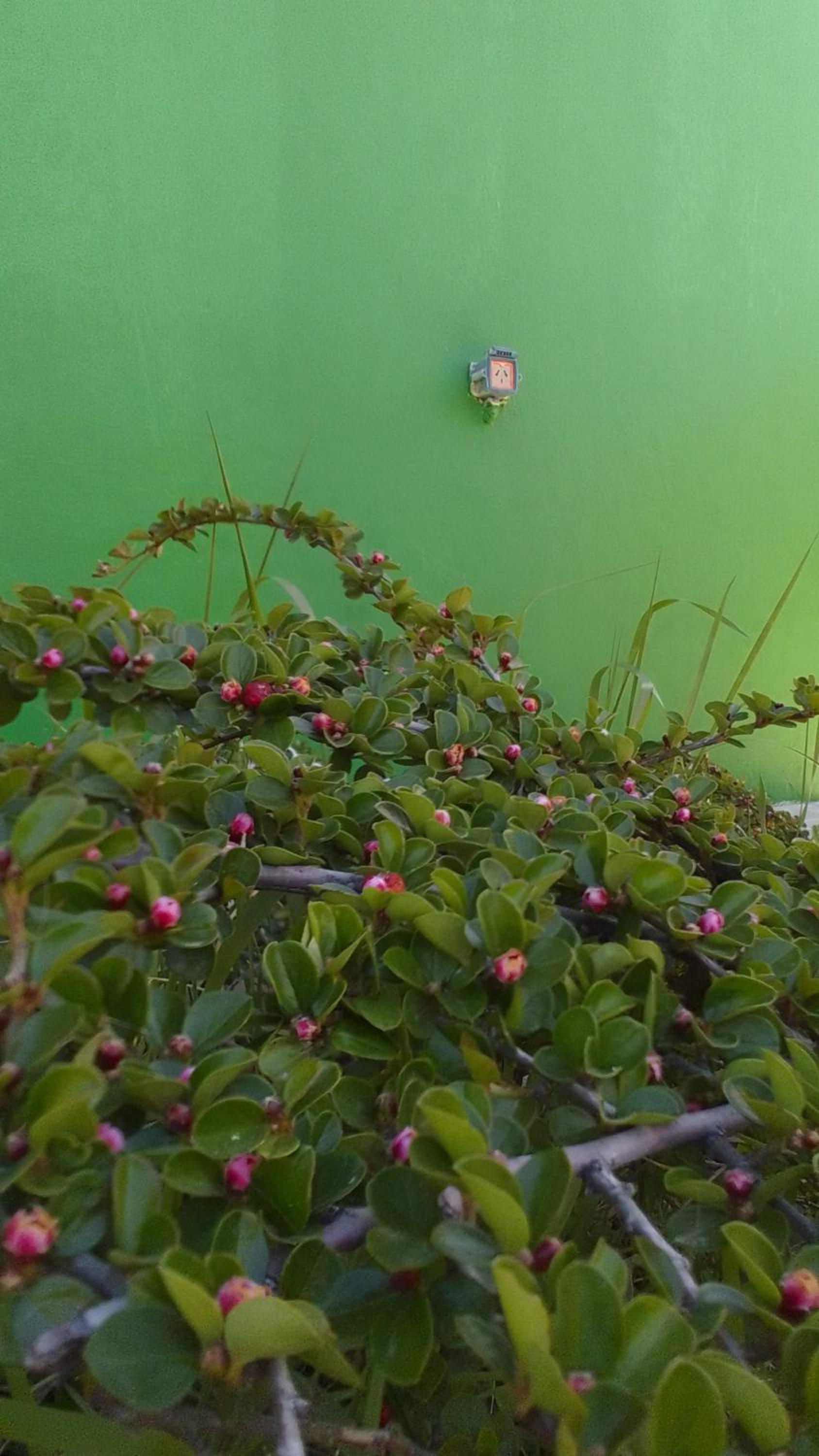 Hospedaje Manantiales