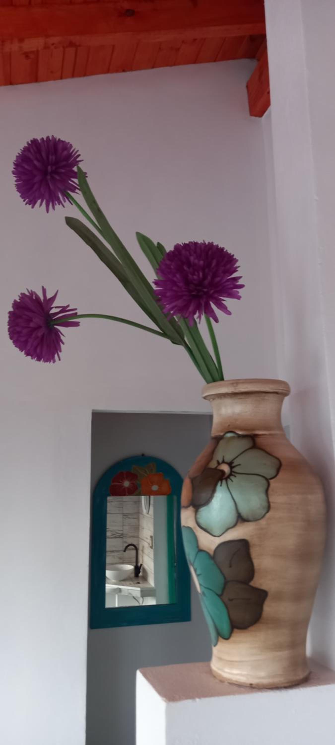 Los Cactus