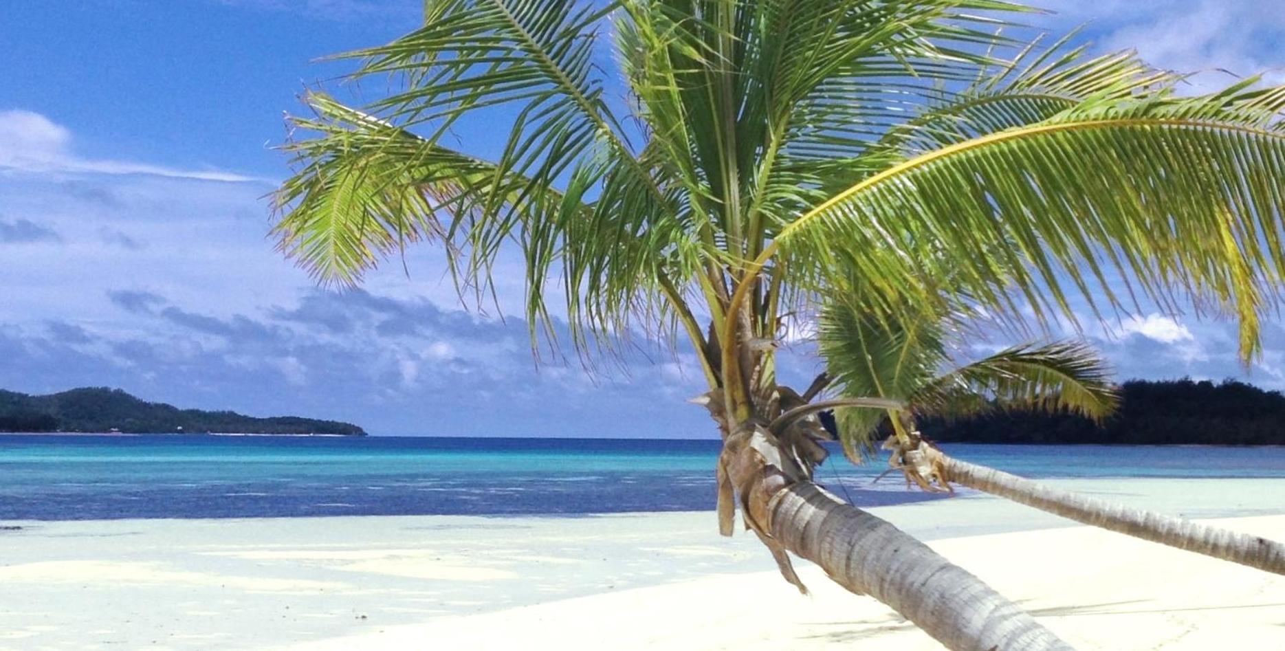Coconut Beach Resort