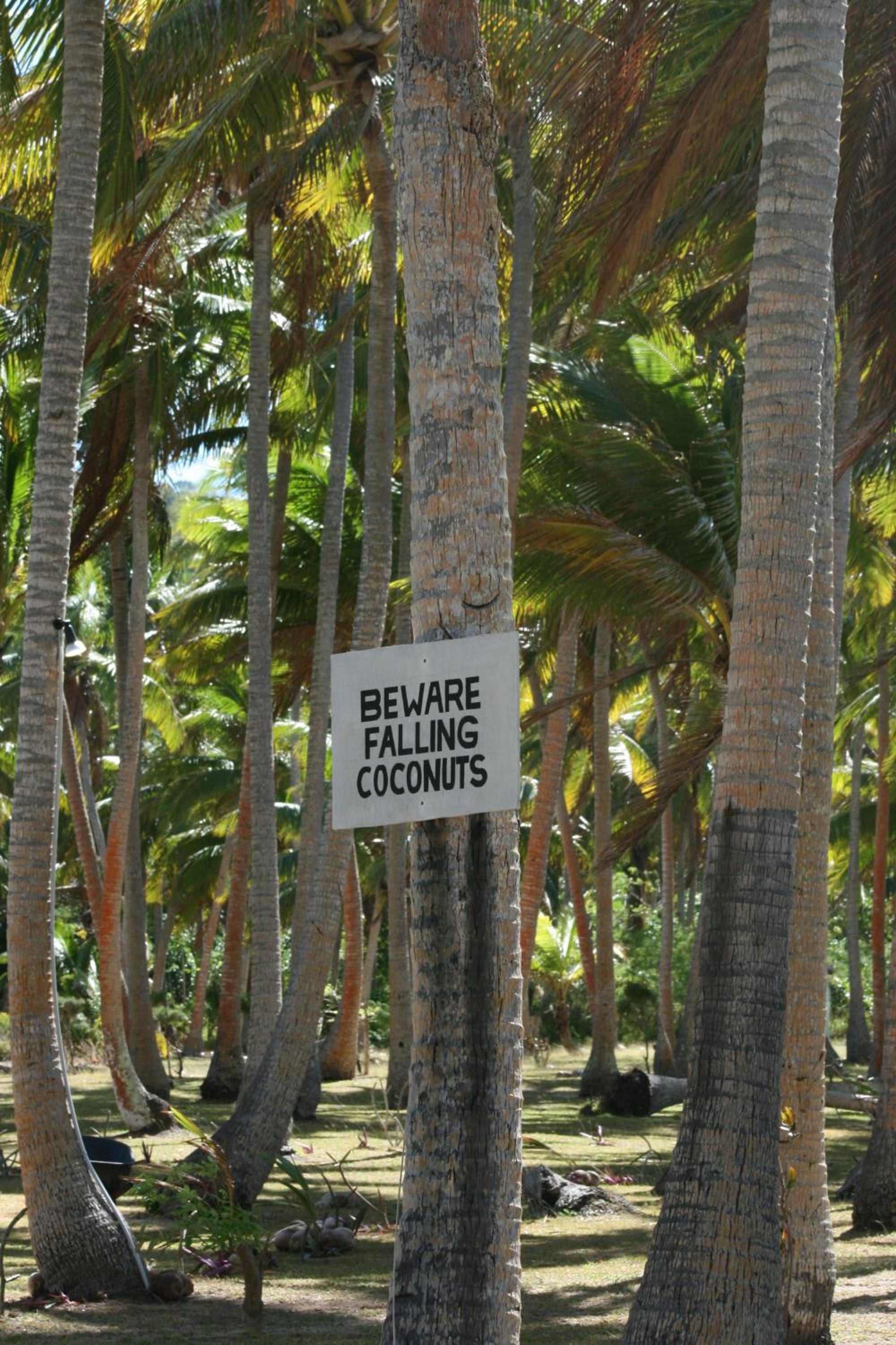 Coconut Beach Resort