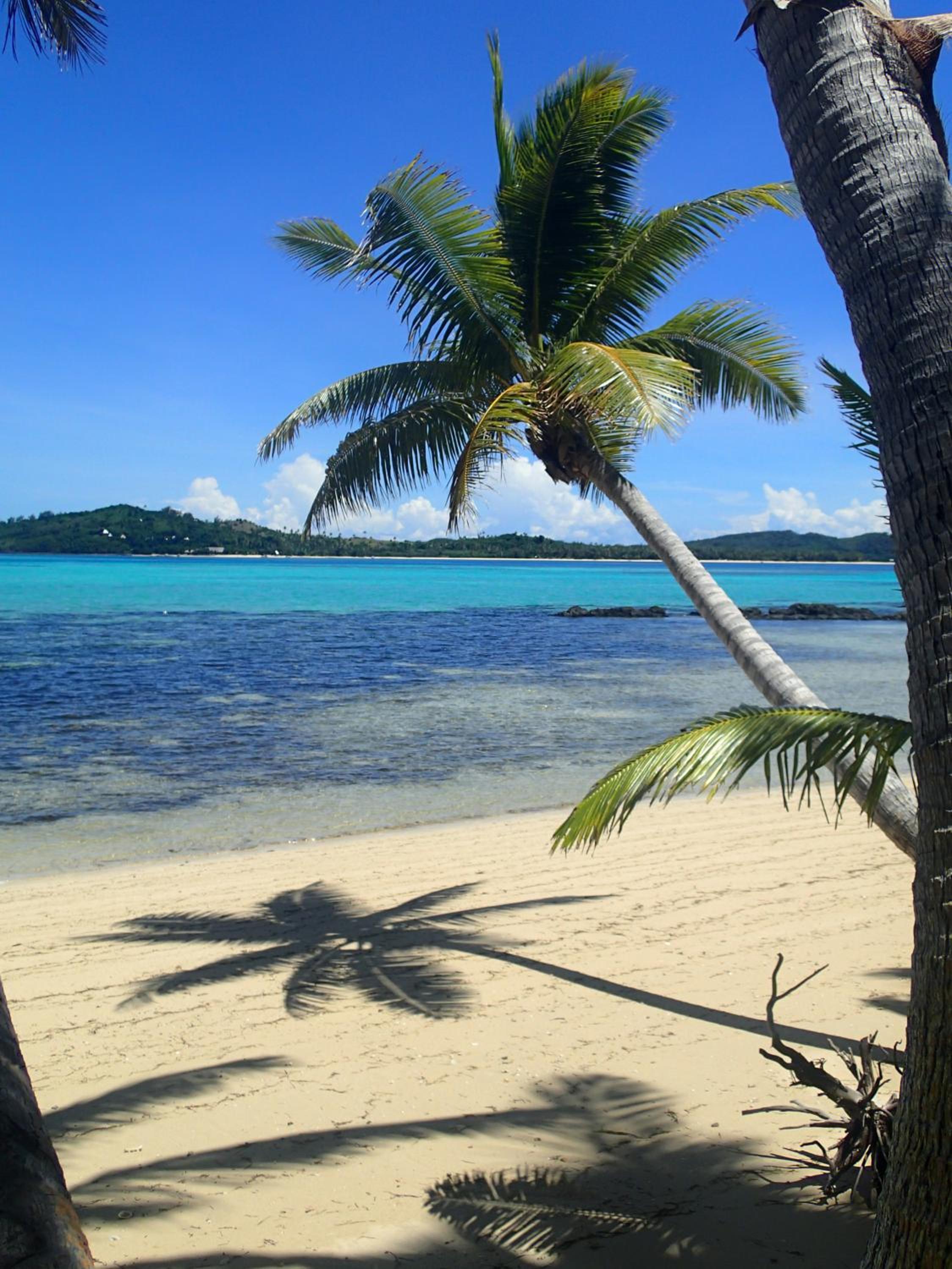 Coconut Beach Resort