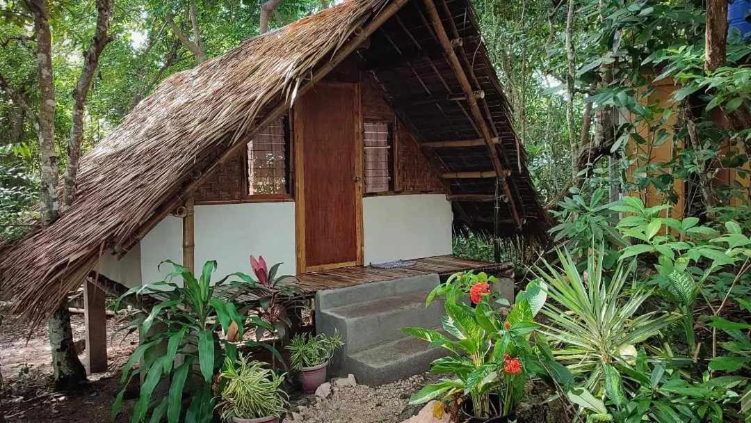 Lazy Lizard Hostel view 4