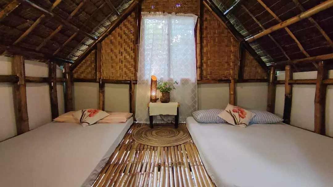 Lazy Lizard Hostel view 3