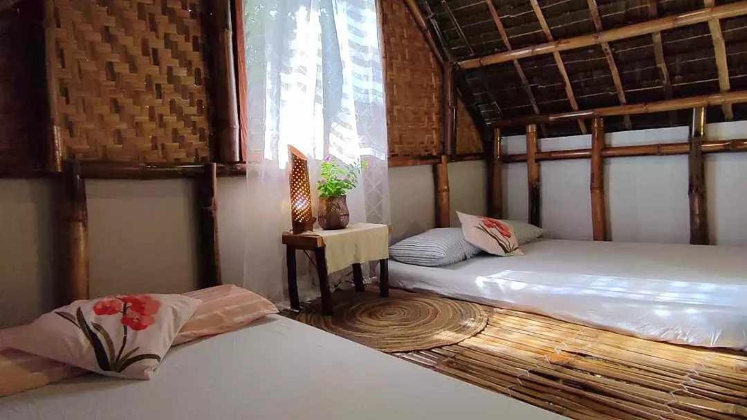 Lazy Lizard Hostel view 2