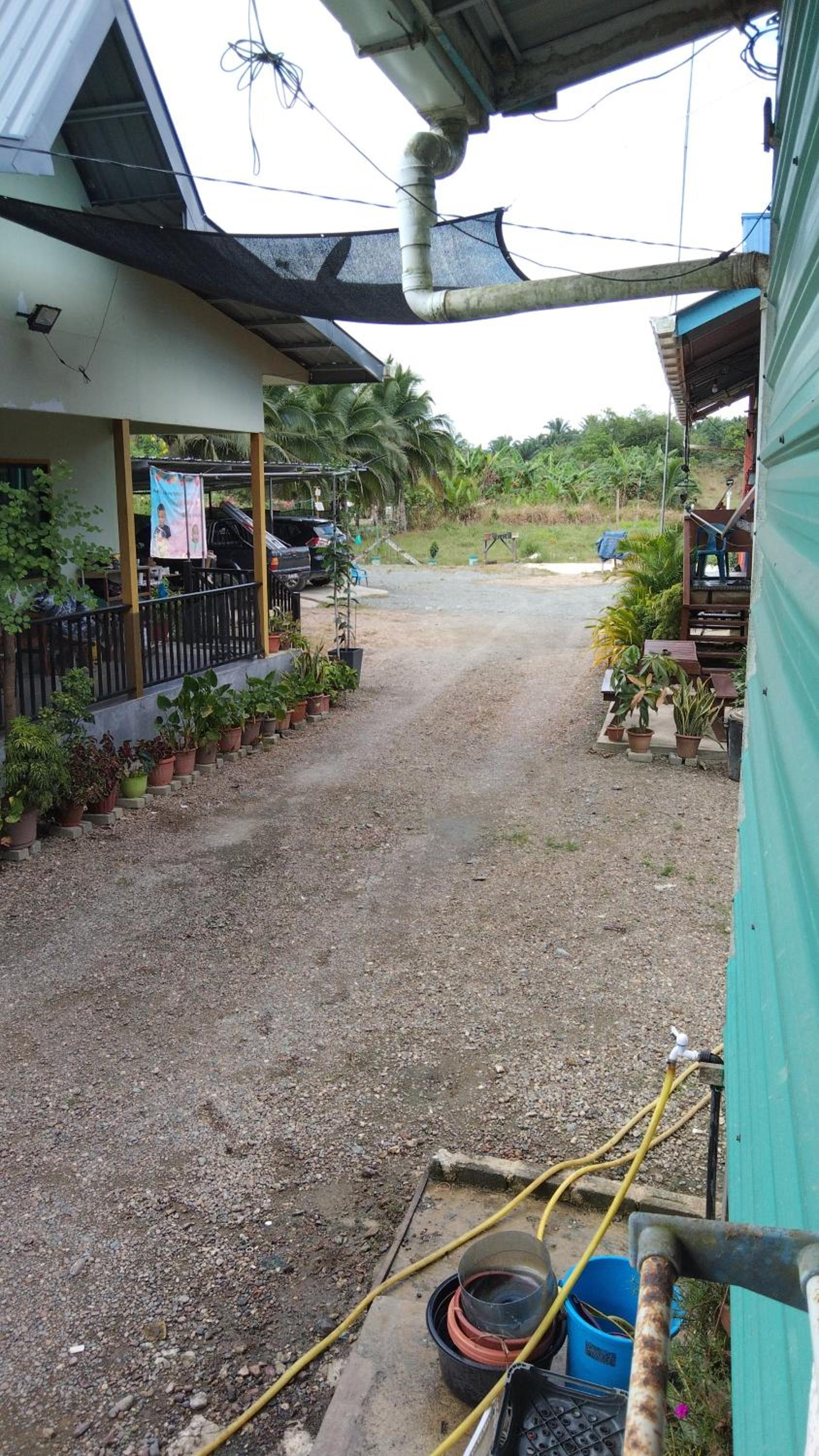 Darvel Bay Homestay photo 7