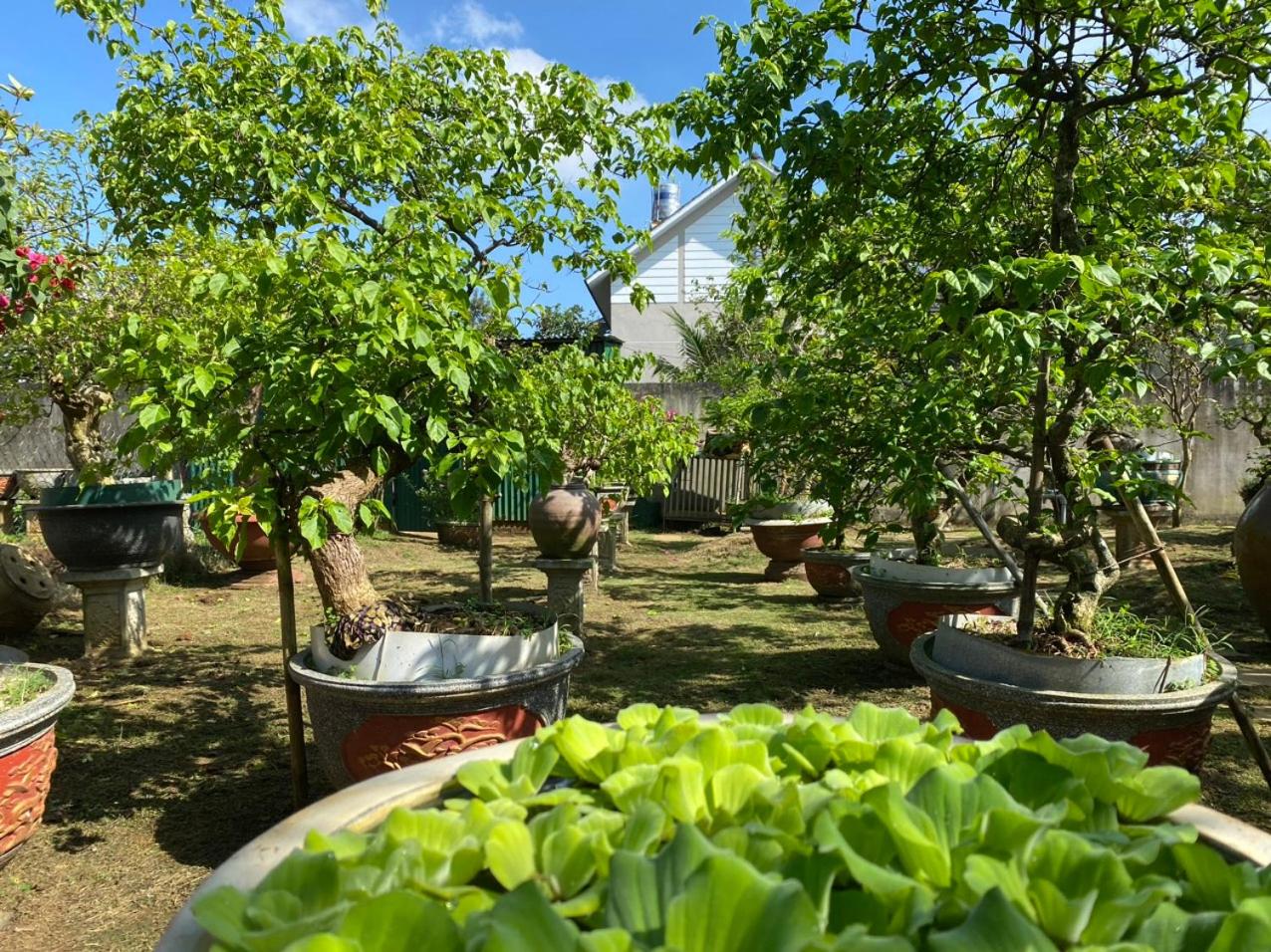 Nhà Ảo Giác