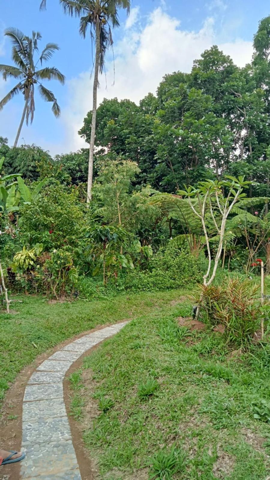 Dewandaru Villa Bali