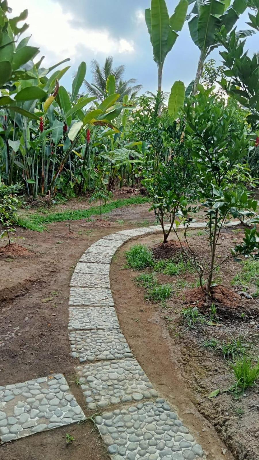 Dewandaru Villa Bali