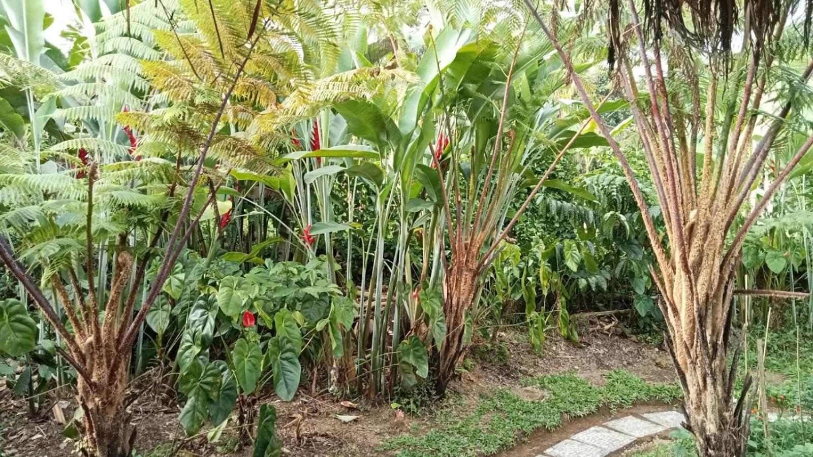 Dewandaru Villa Bali
