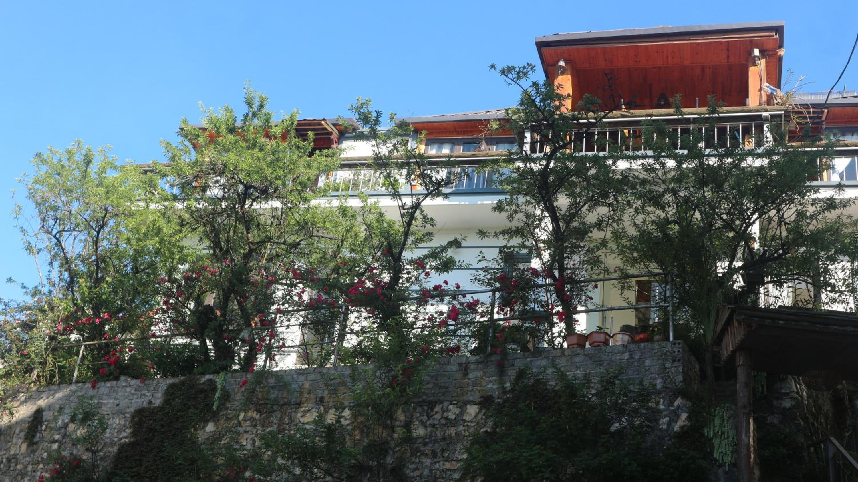 Photo 14