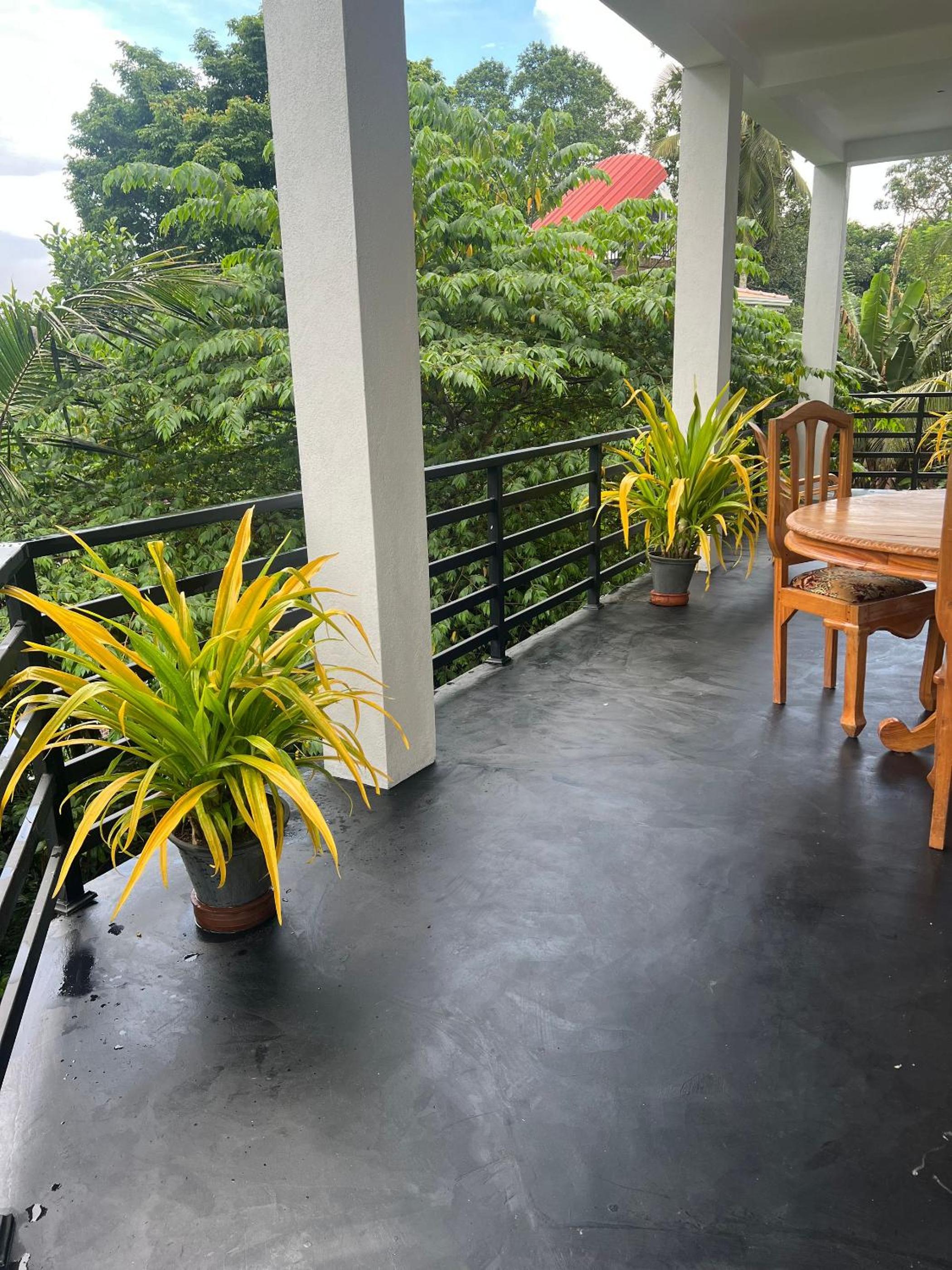 Peace Inn