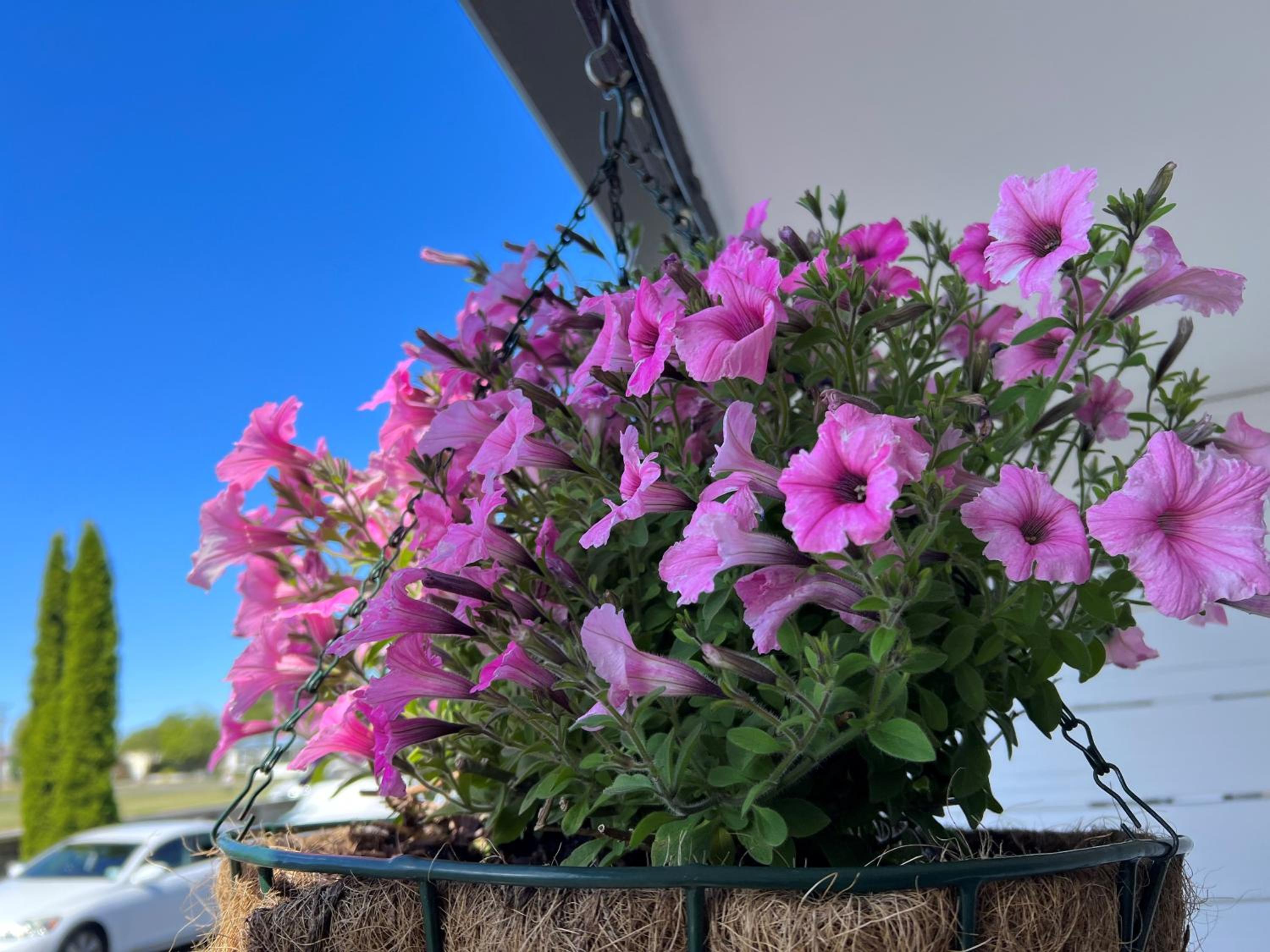 Ashbrook Motel Taupo