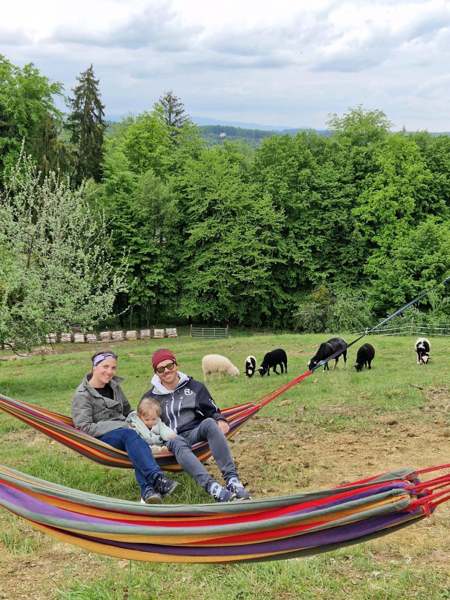 Ferienwohnung am Trausdorfberg - Rosenblick