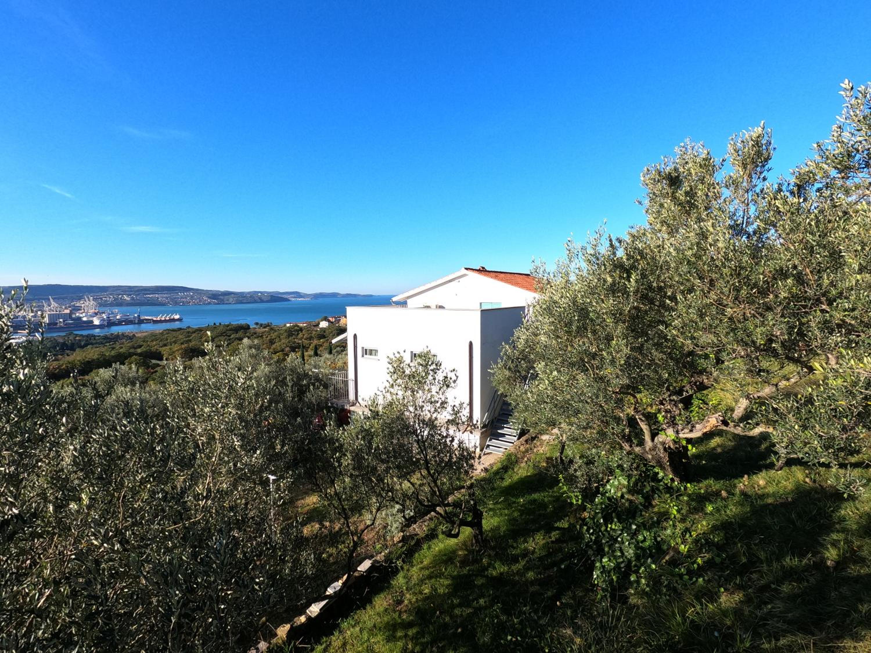 House among olive trees with a sea view 1 view 2