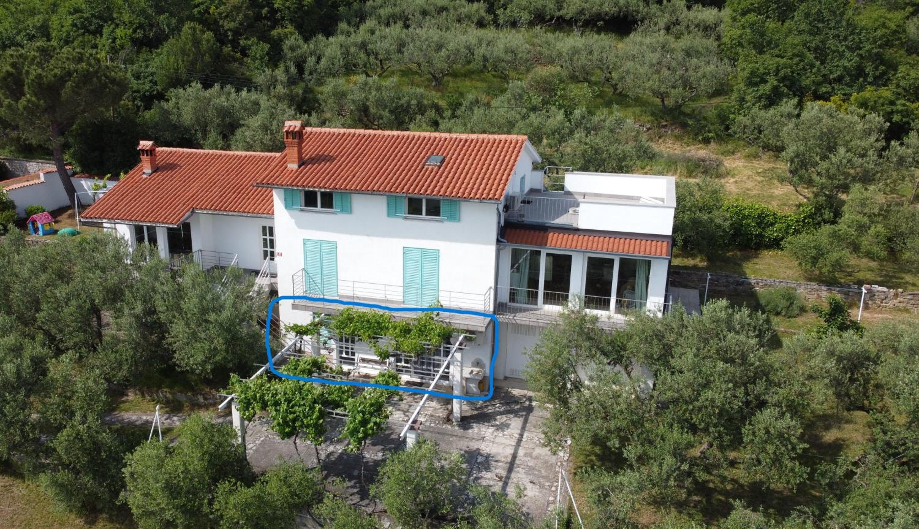 House among olive trees with a sea view 3 view 2
