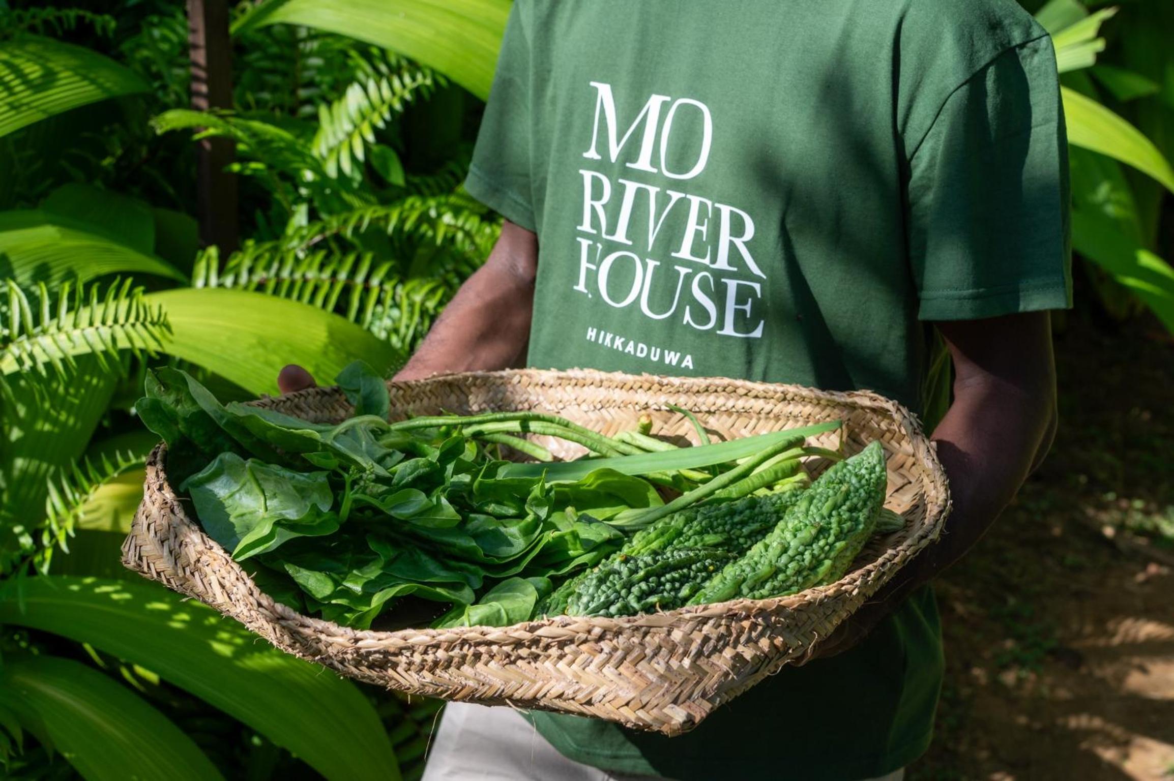 MO River House Luxury Villa