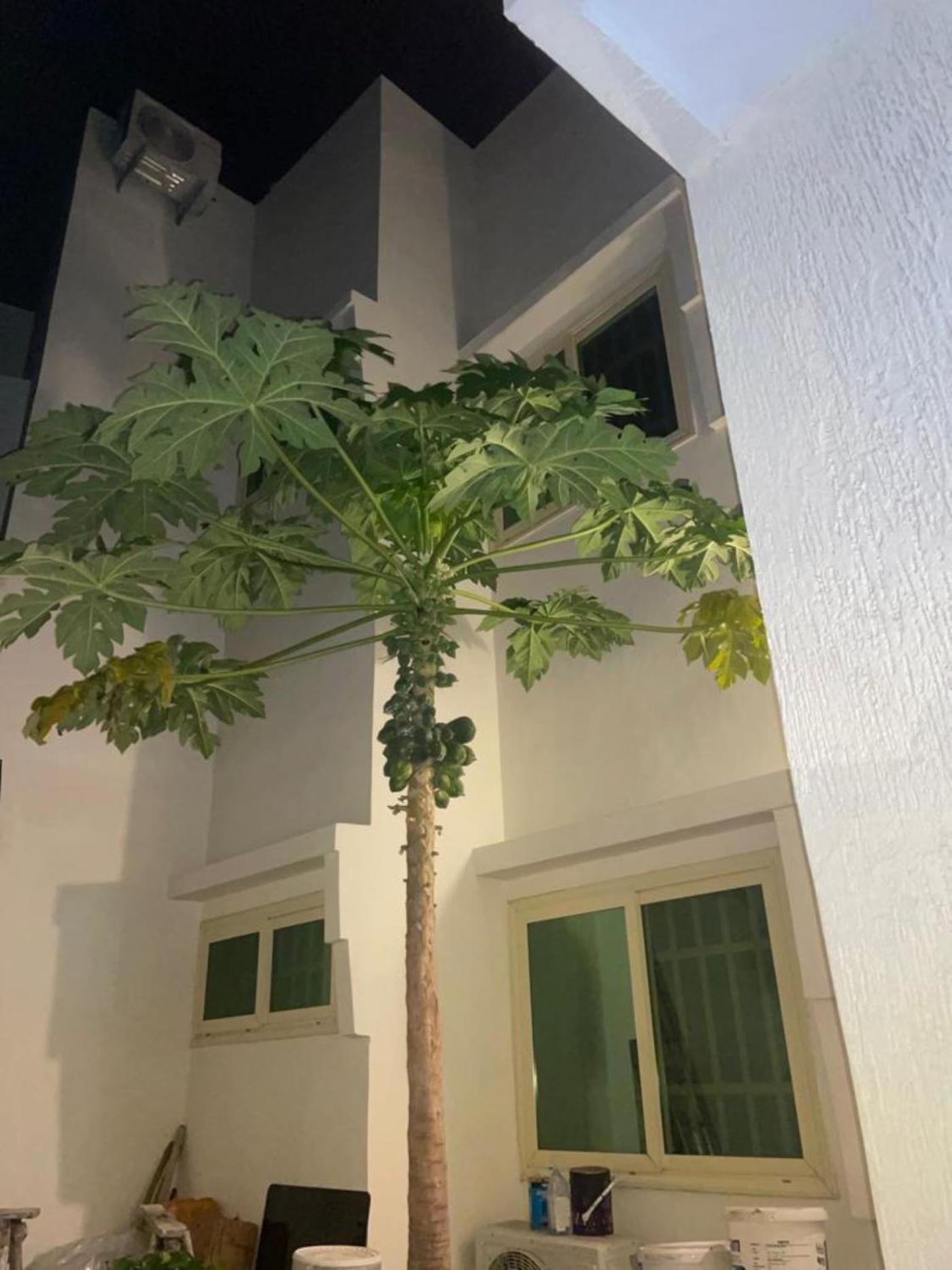 RESIDENCE MH SERVICES Cotonou