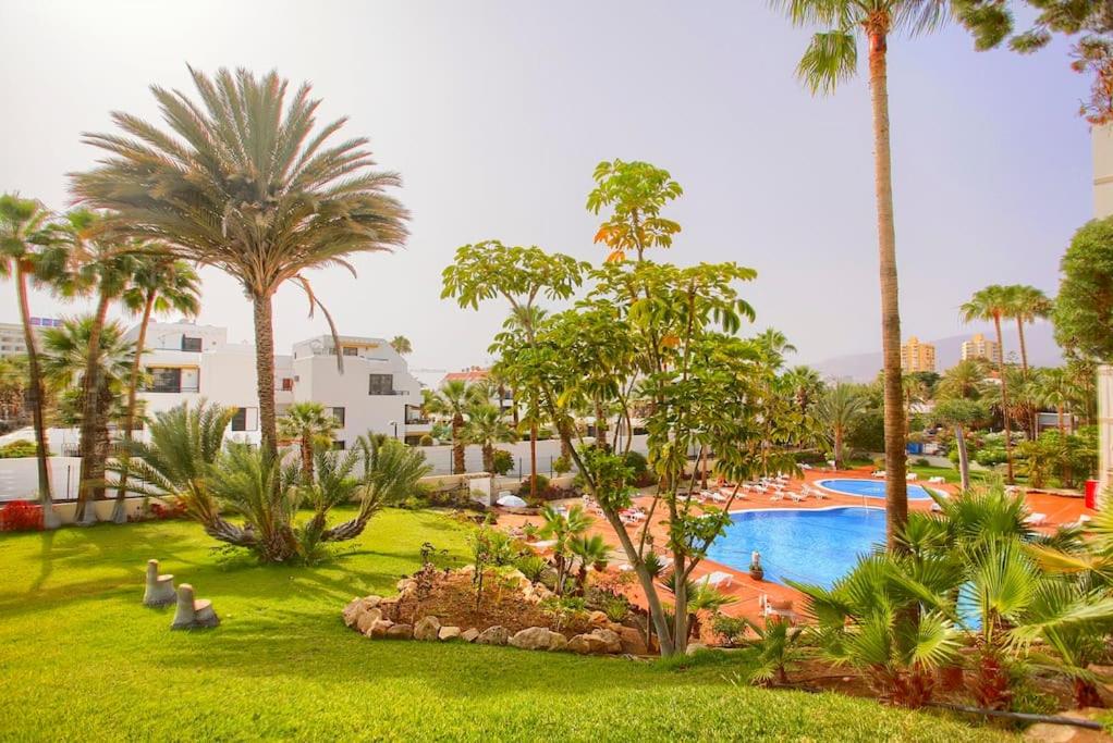 CECILIA APARTMENTPLAYA DE LAS AMÉRICAS