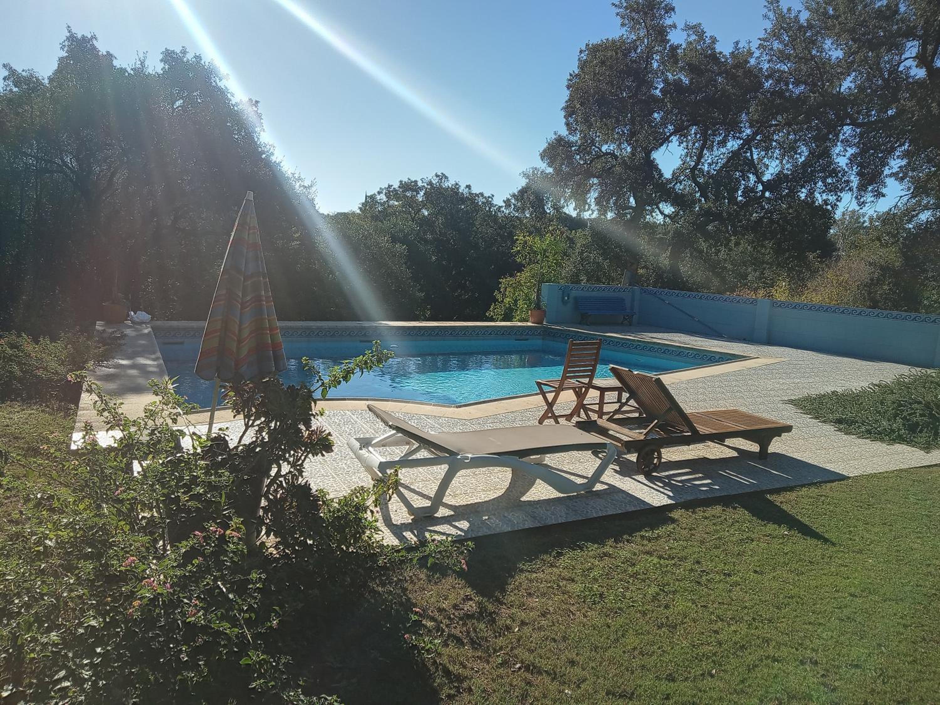 Sotogrande. Estancia privada en plena naturaleza photo 4