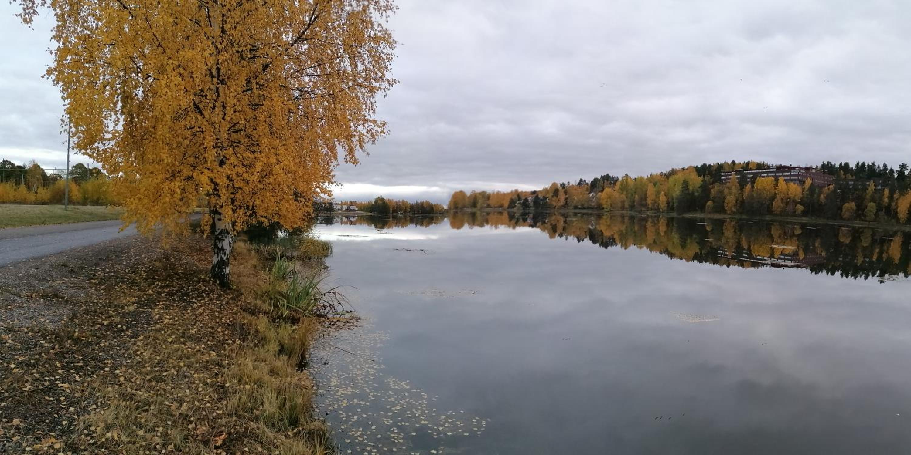 Photo 48