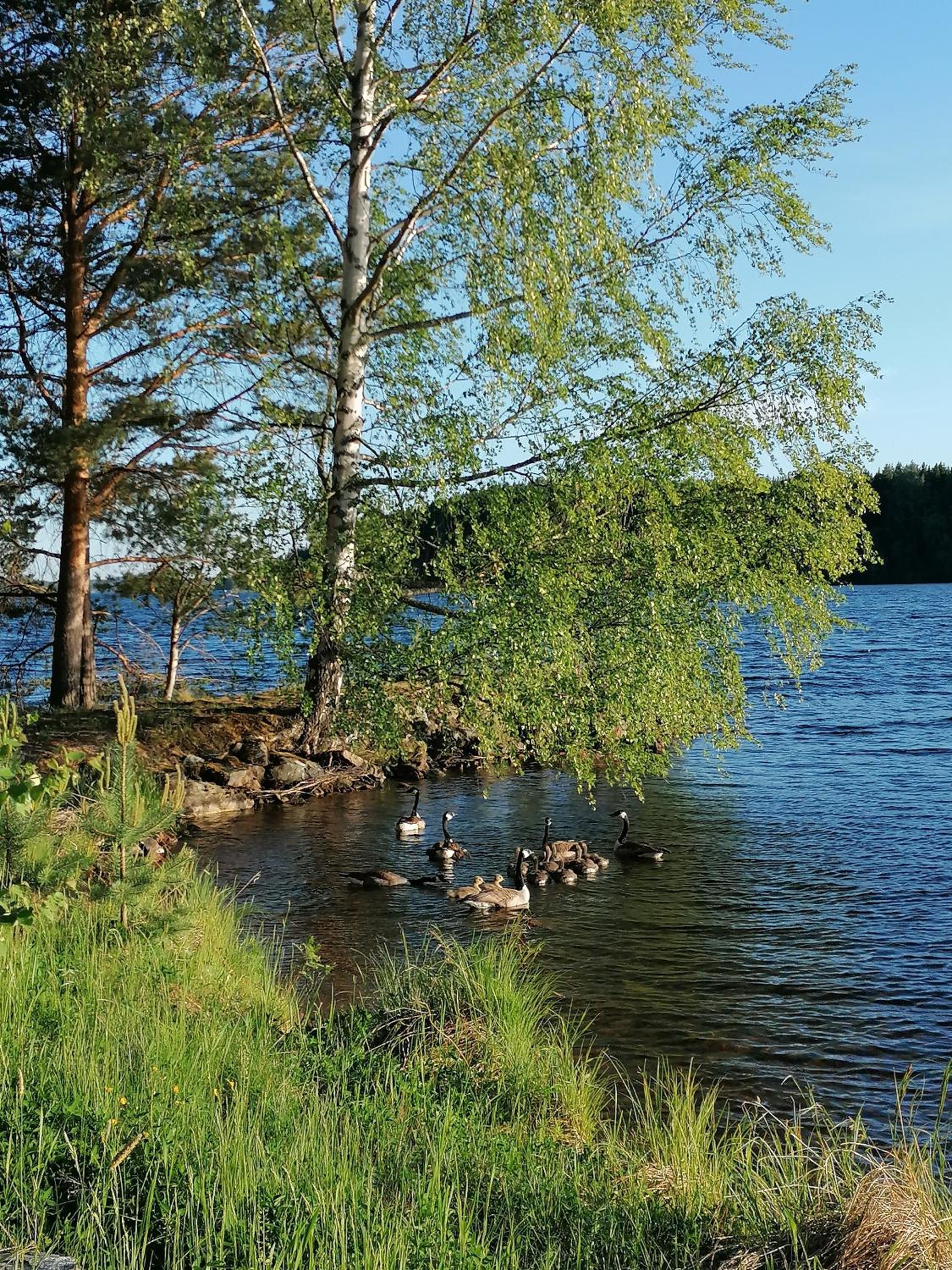 Photo 44
