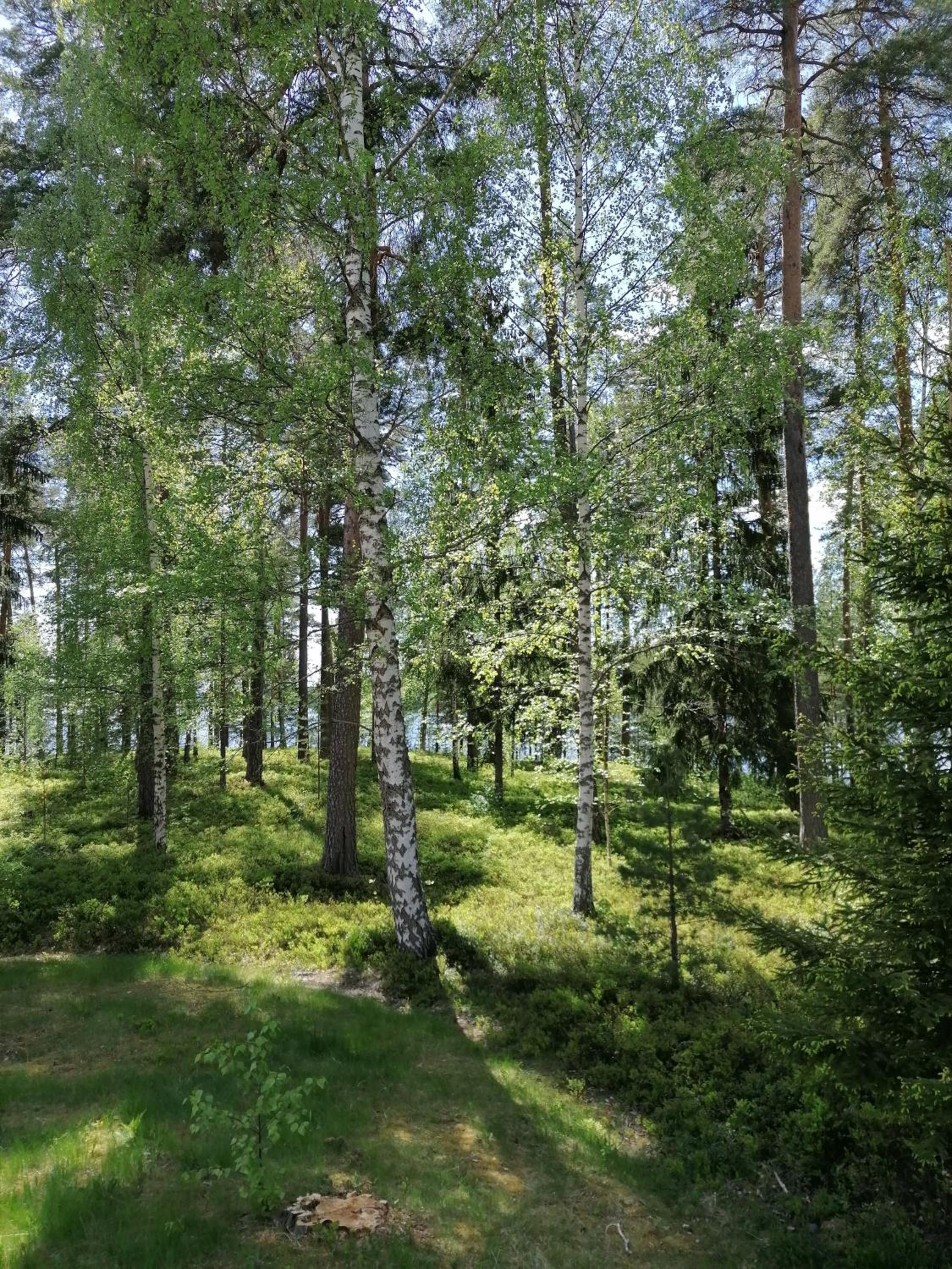 Photo 50