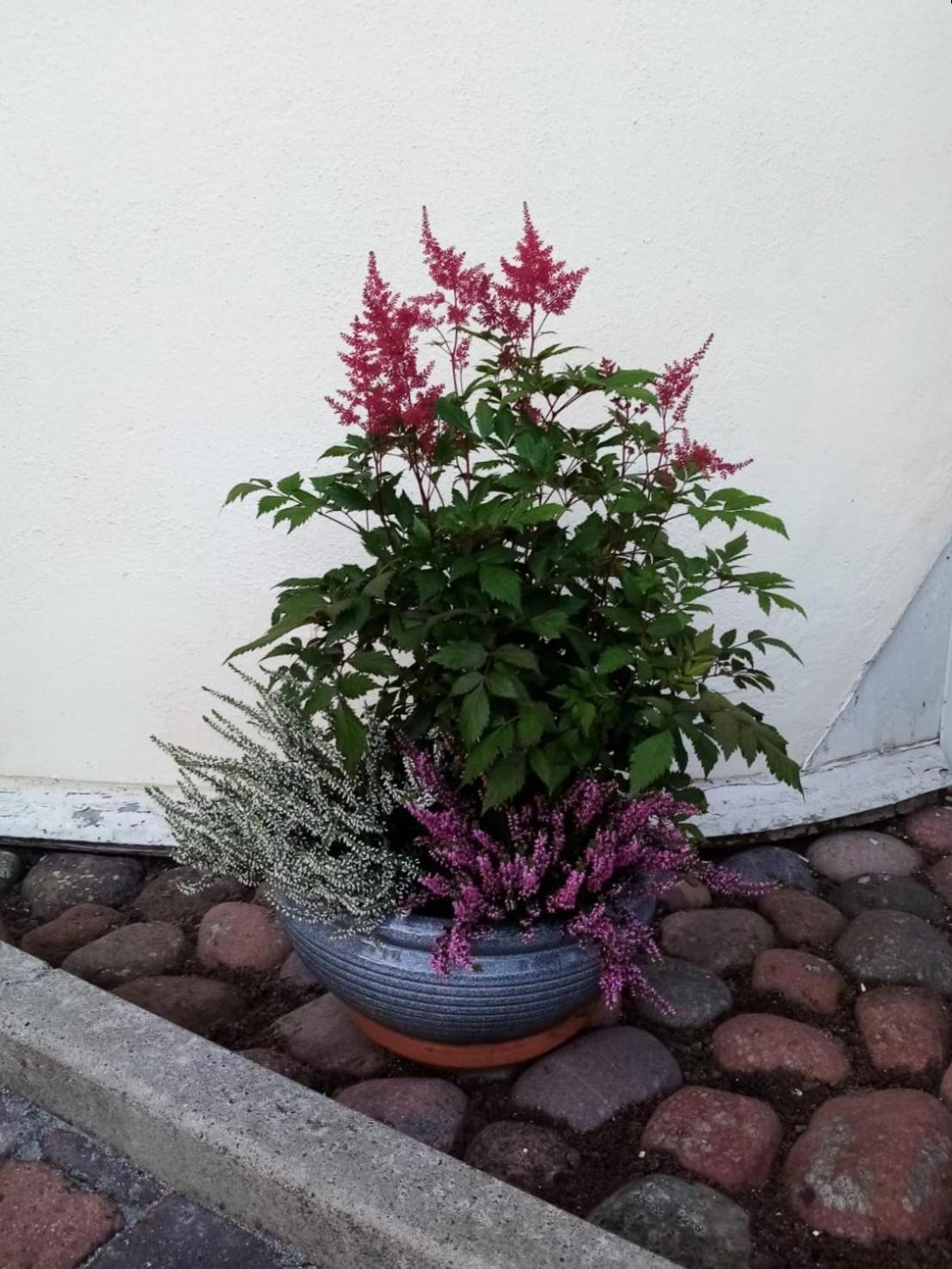Photo 51