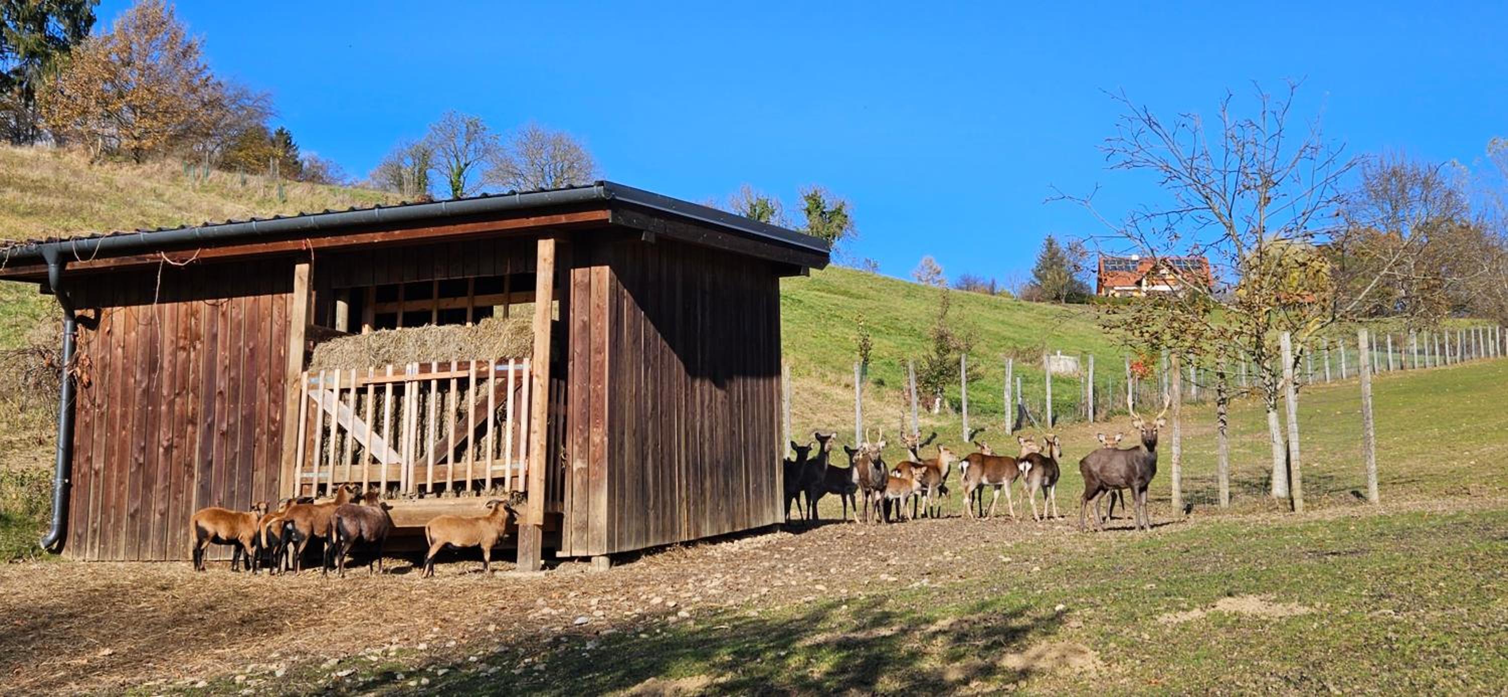 Einzigartiger Vierkanthof
