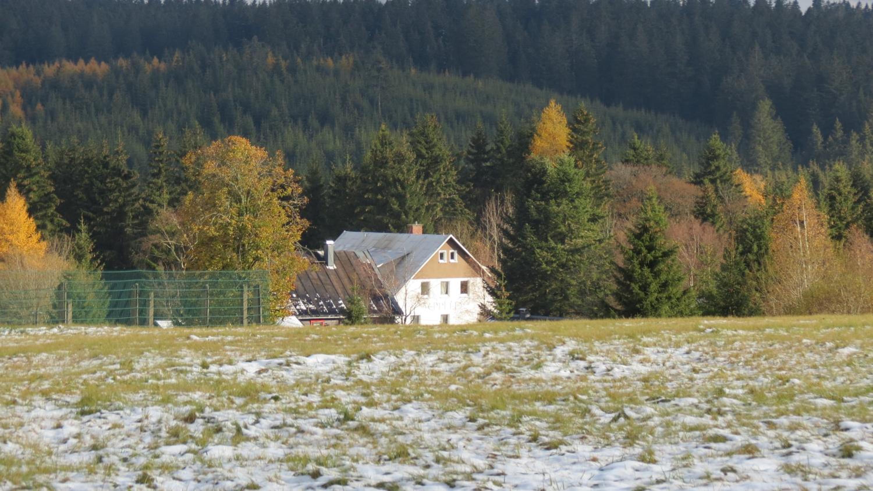Pension Waldhaus