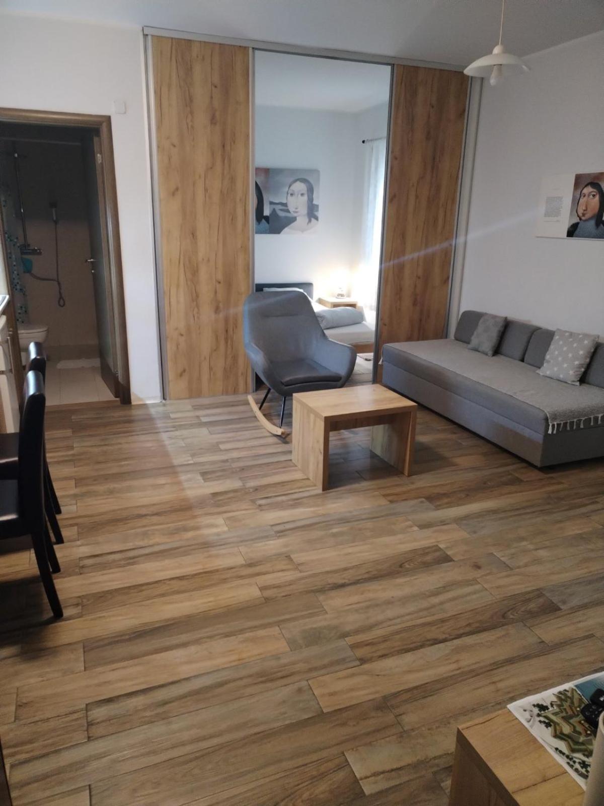 Centar Novi Sad-Apartman No 1 PARKING ON REQUEST view 5