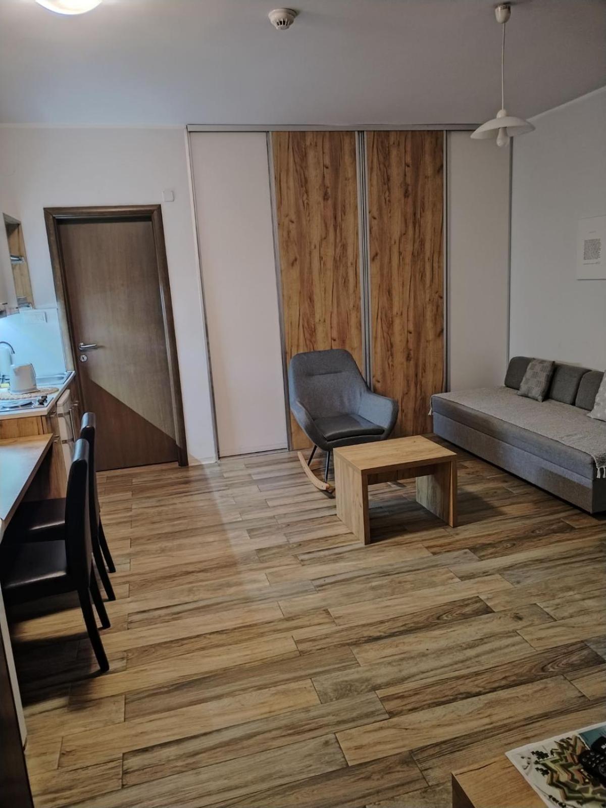 Centar Novi Sad-Apartman No 1 PARKING ON REQUEST view 4