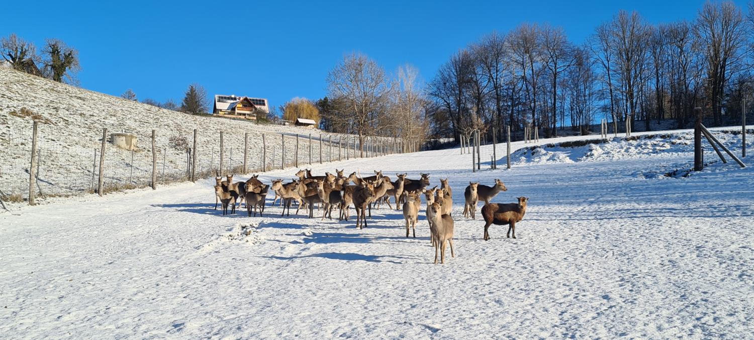 Einzigartiger Vierkanthof