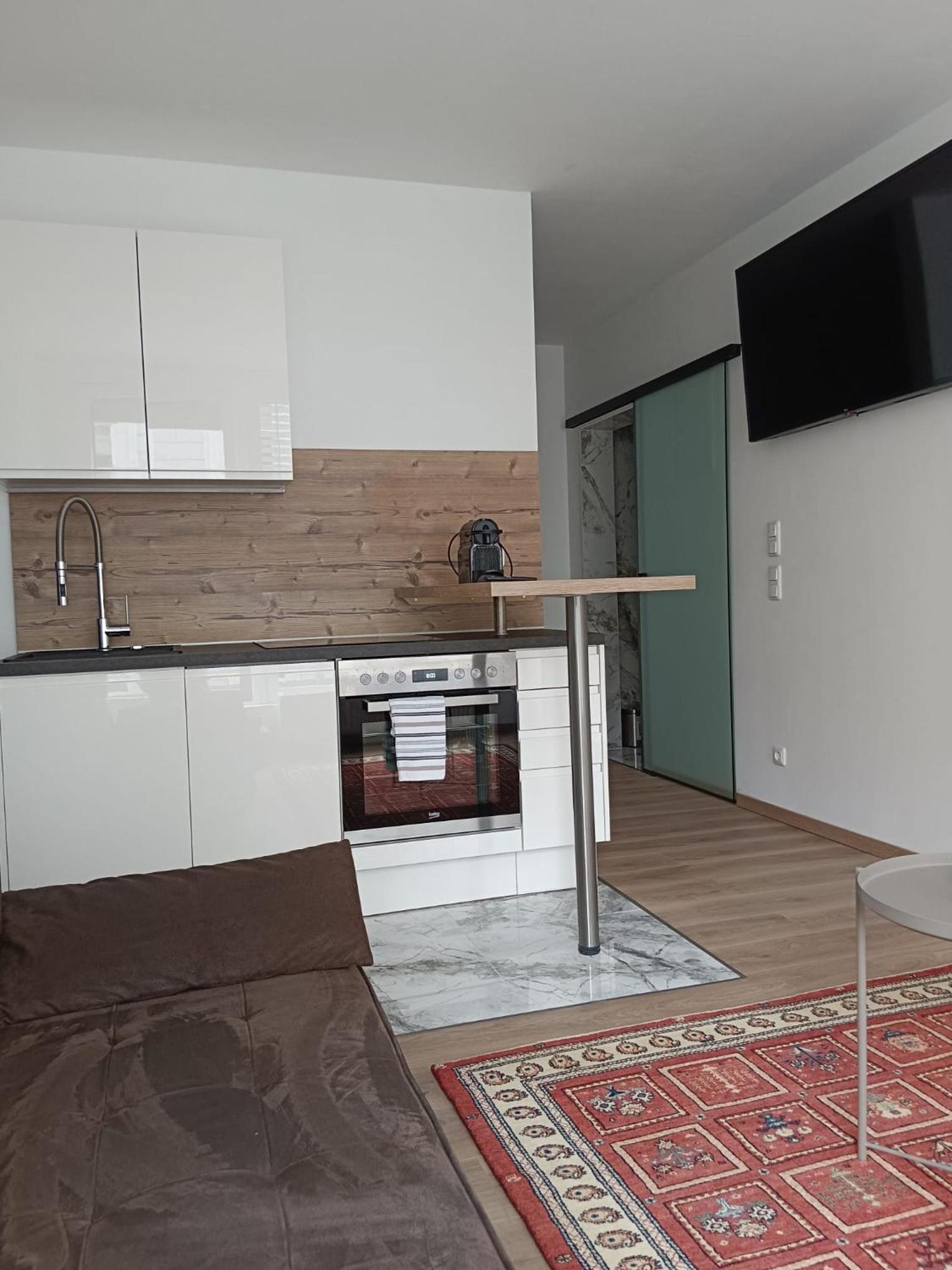 Linz Vacations - LiNZ CITY SUITE - Property Image 5
