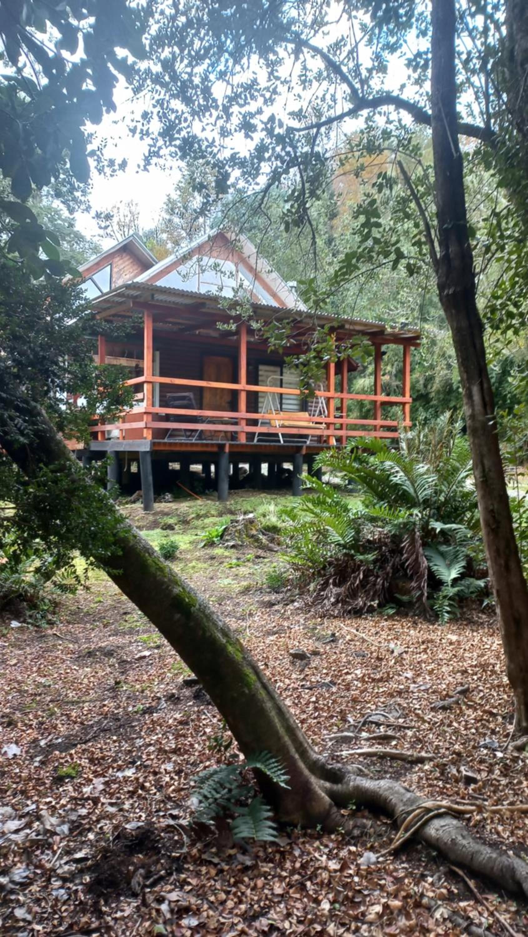 Agradable Cabaña inserta en bosque nativo