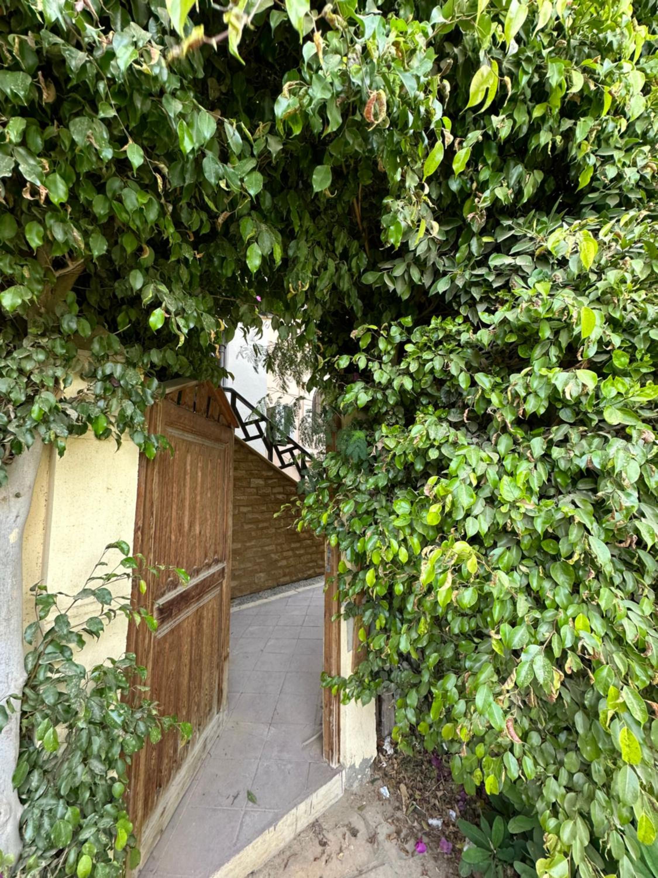 One room apartment with Garden Rehab city