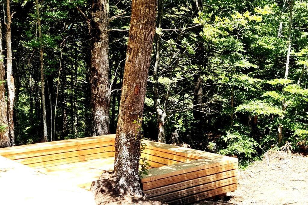 Refugio Piren , Corralco, Conguillio y Hot Tub