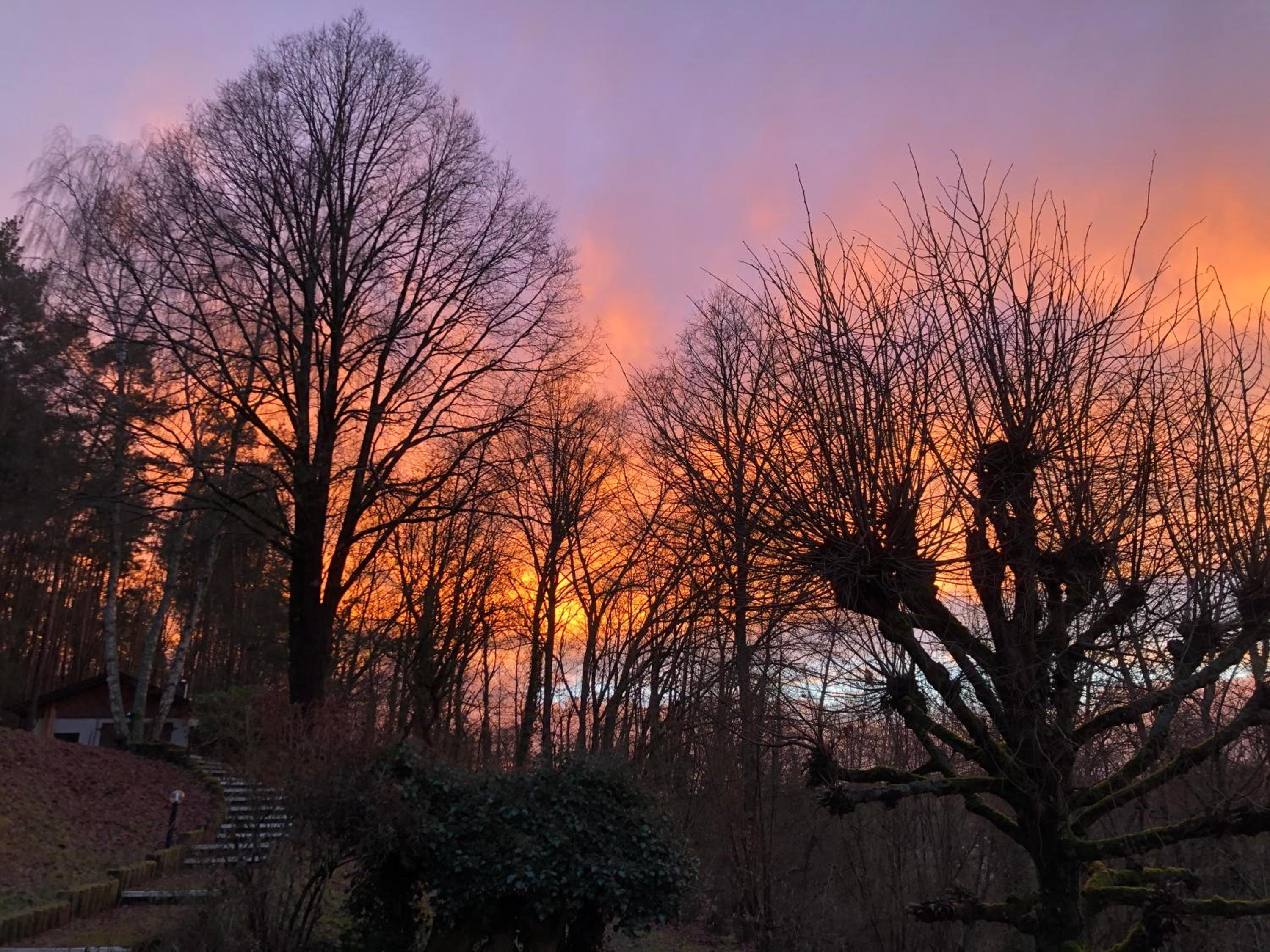 Haus am Wald, photo 98