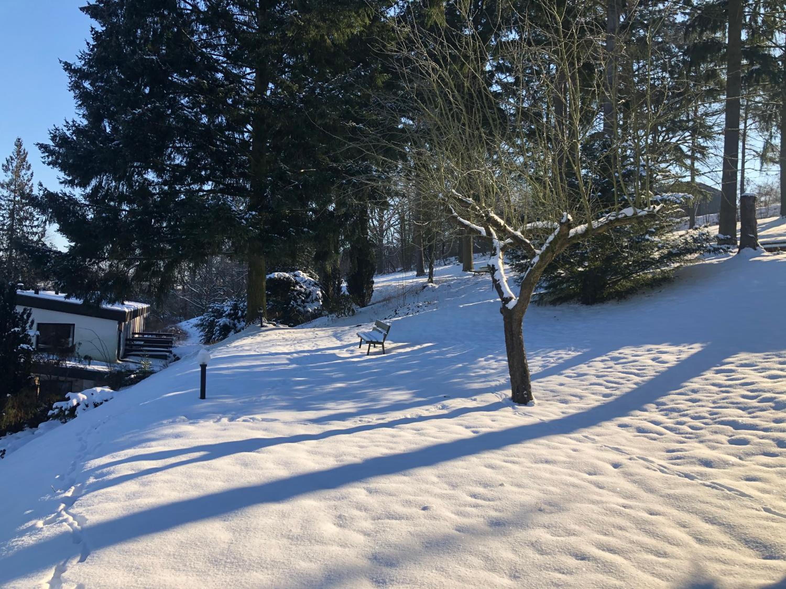 Haus am Wald, photo 55