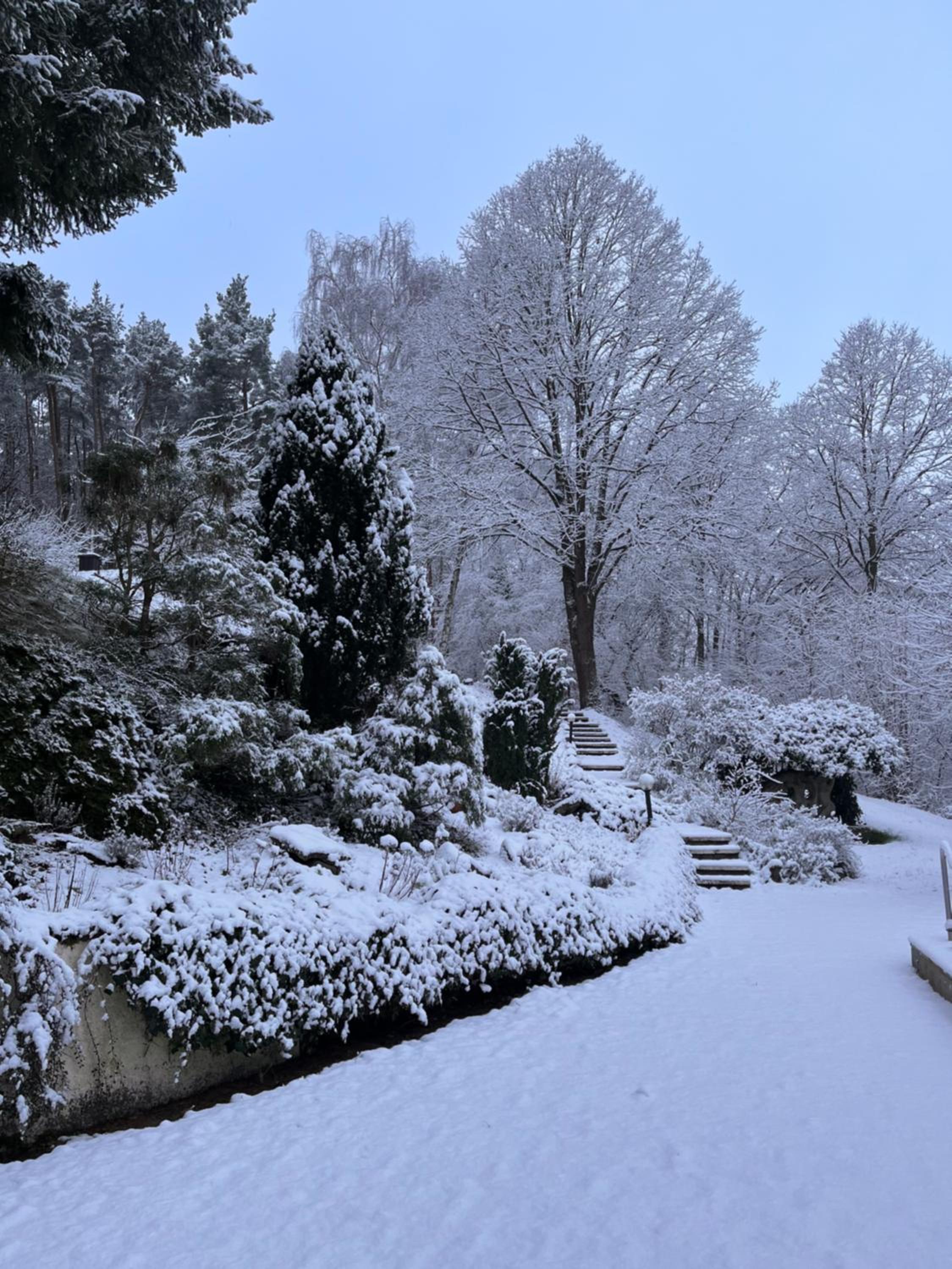 Haus am Wald