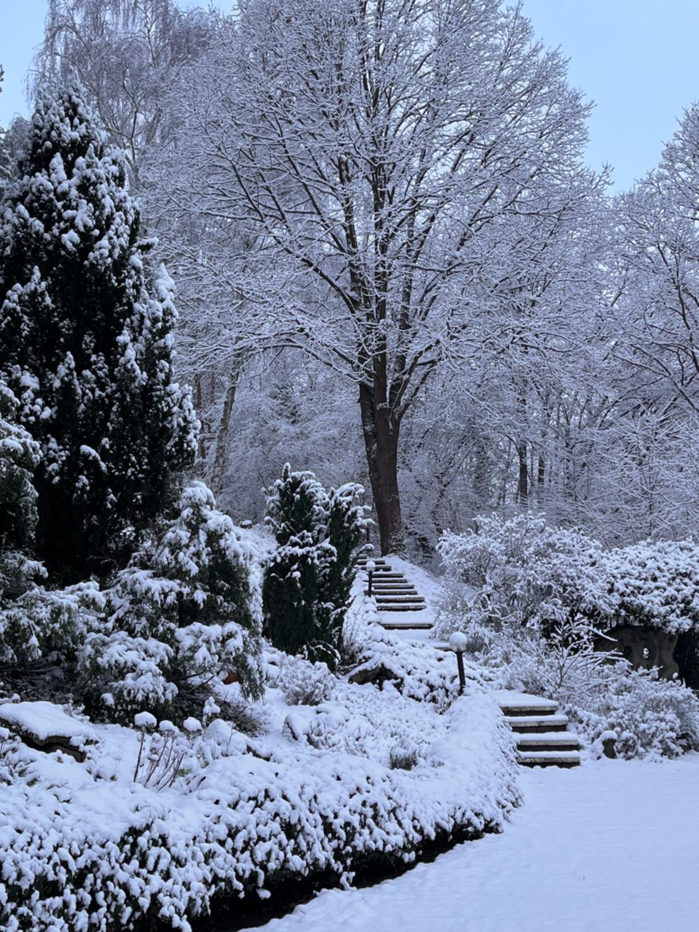 Haus am Wald, photo 68