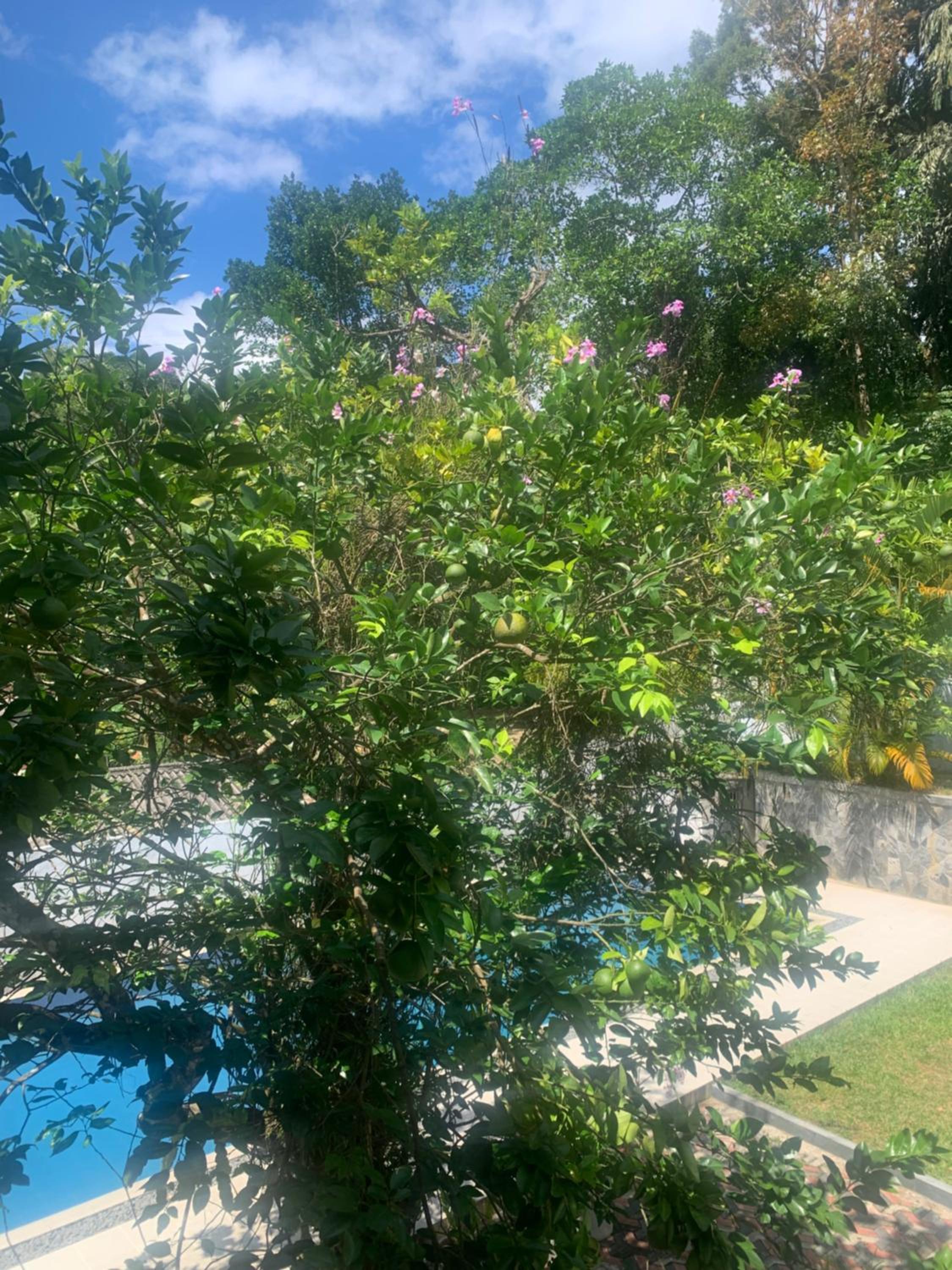Healand Holiday Bungalow and Restaurant