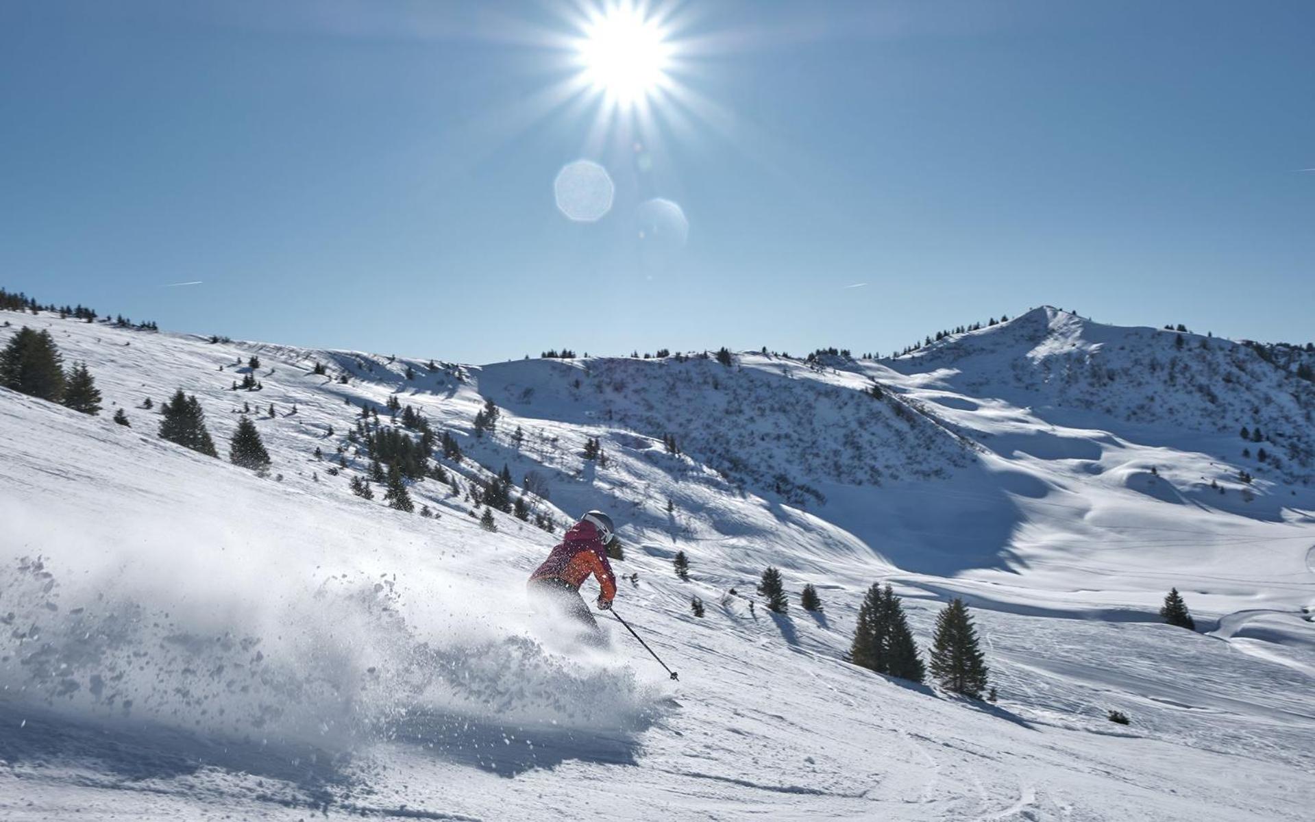 THE ALPINE STUDIO by the ski slopes & lake Frience