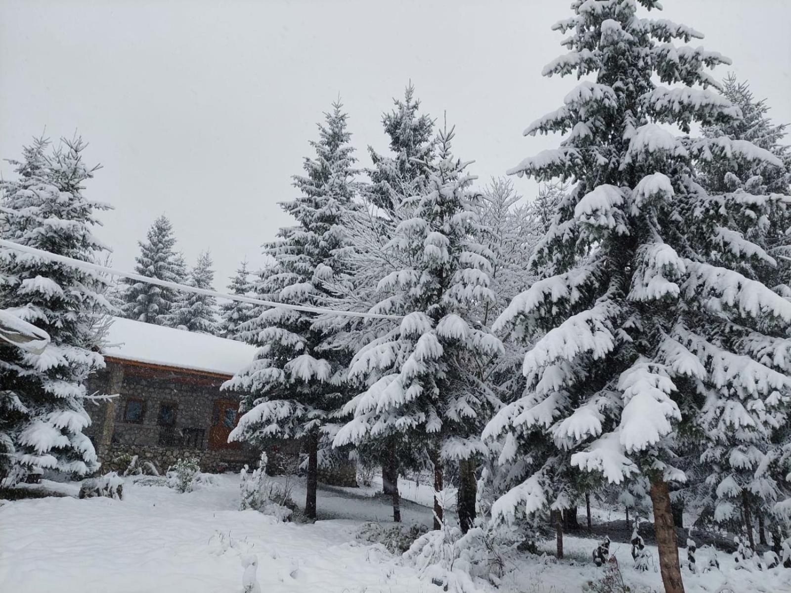 Guest house Hyrmet Demushi