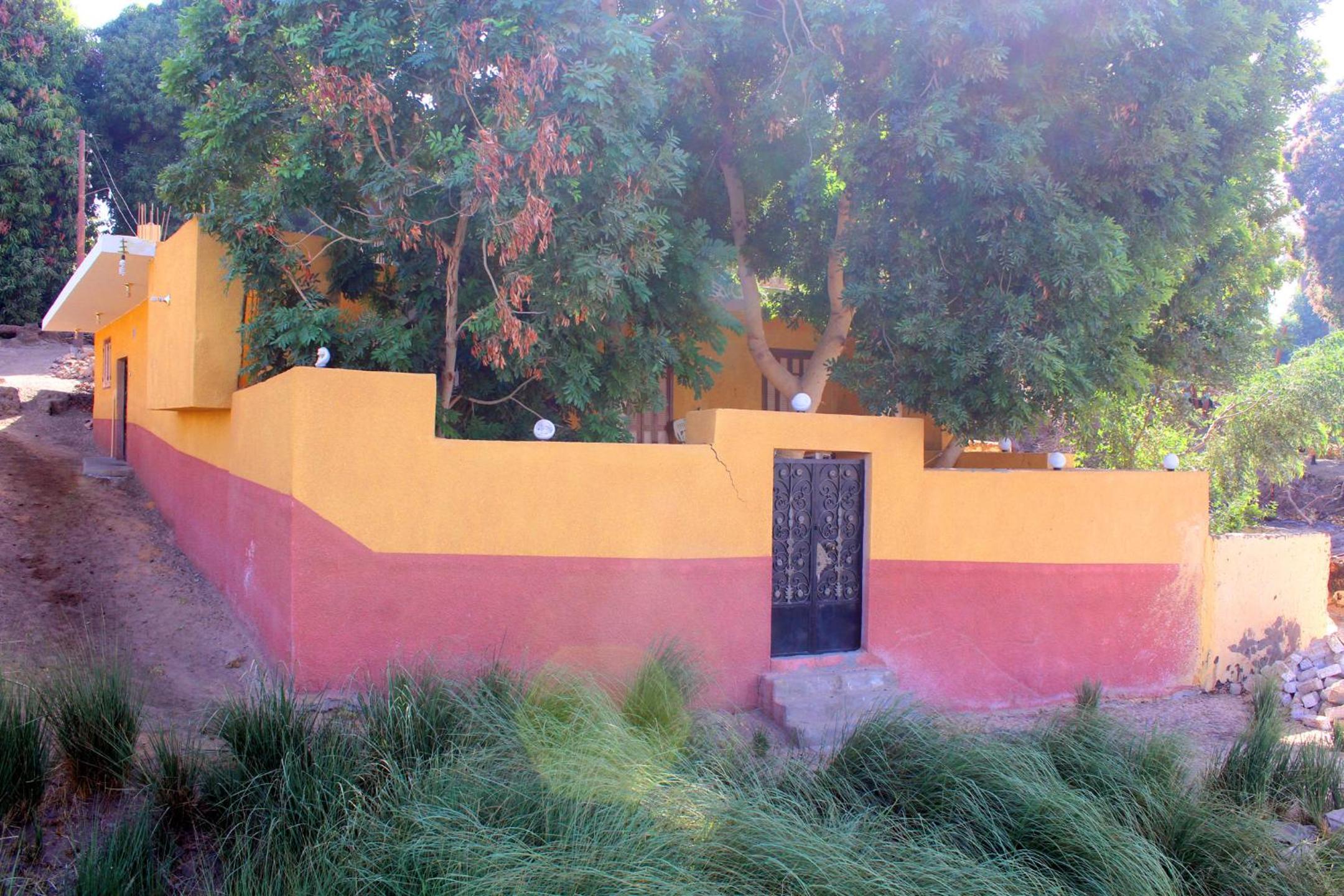 Photo 51
