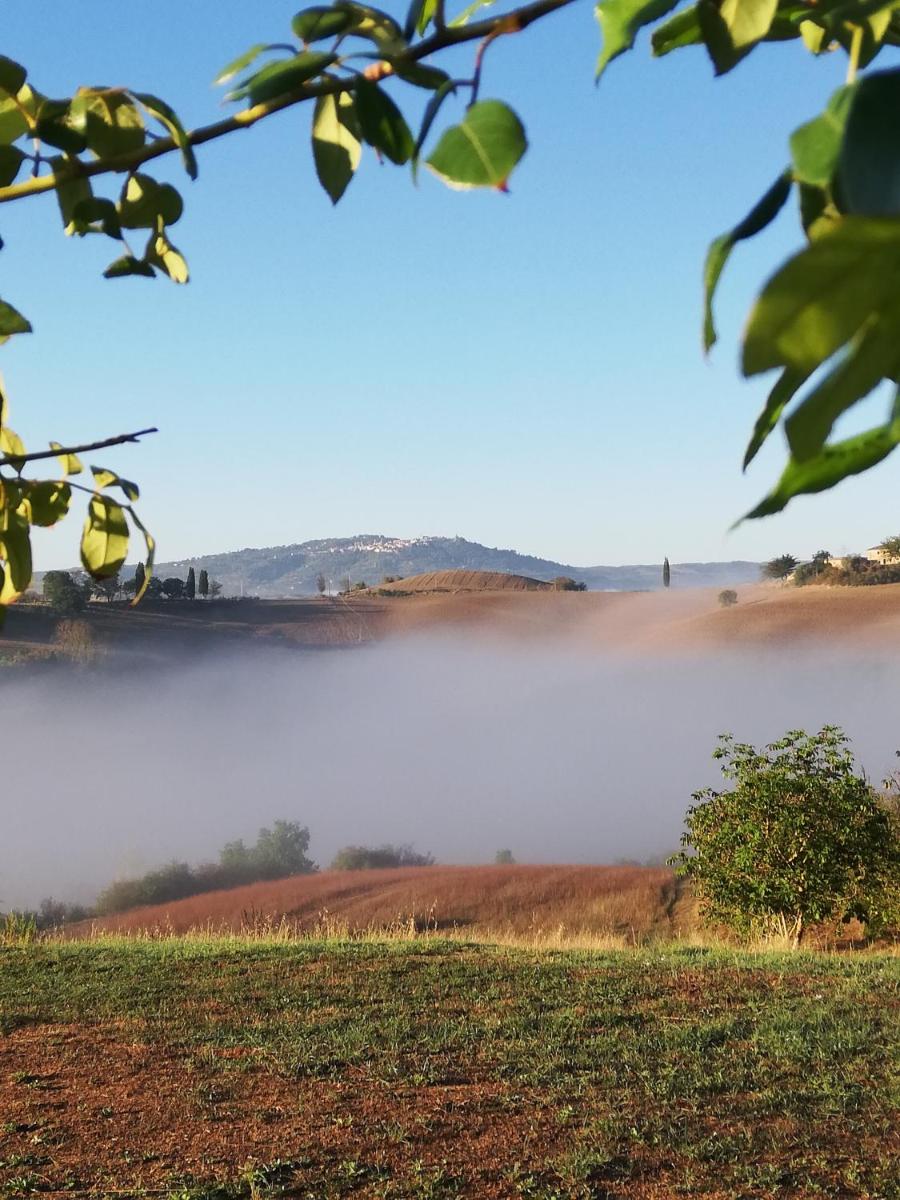 Podere Sant'Antonio view 5