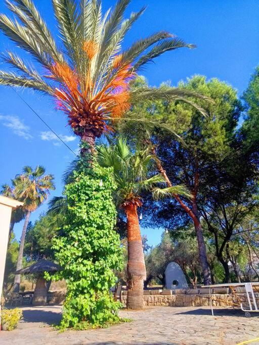 Villa La Gran Duquesa